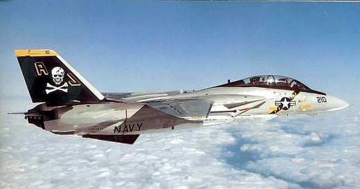 Wings of the Jolly Rogers - "Fear the Bones" F-14A Tomcat Relic Art