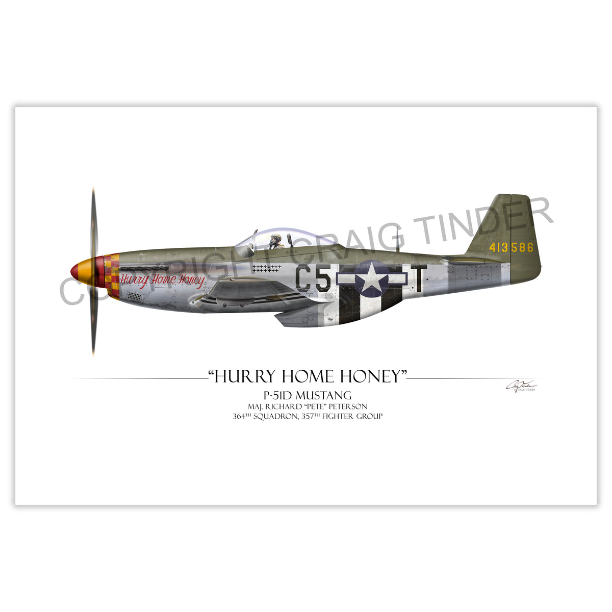 P-51 Mustang - Hurry Home Honey Profile Art Print