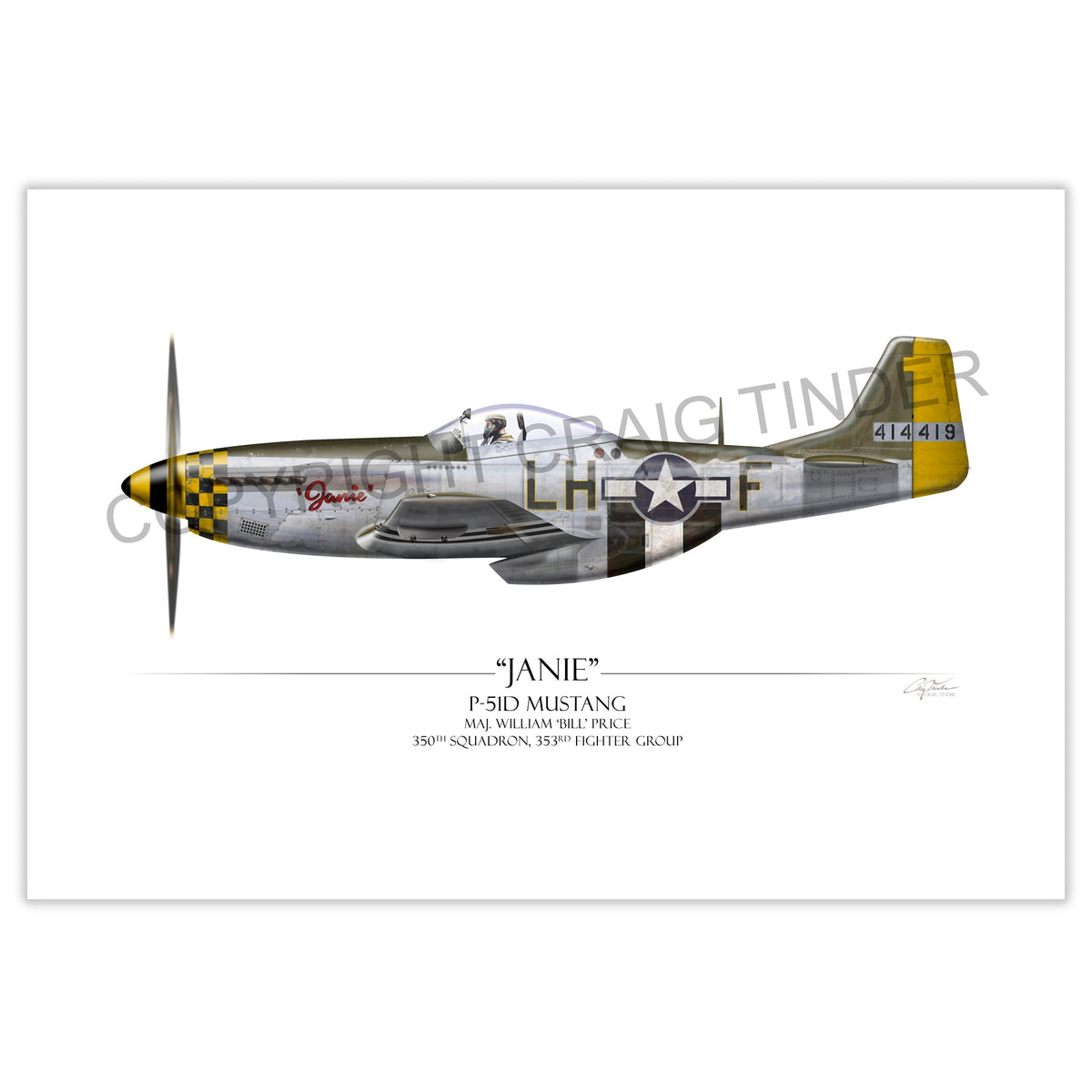 "Janie P-51D Mustang" - Art Print by Craig Tinder