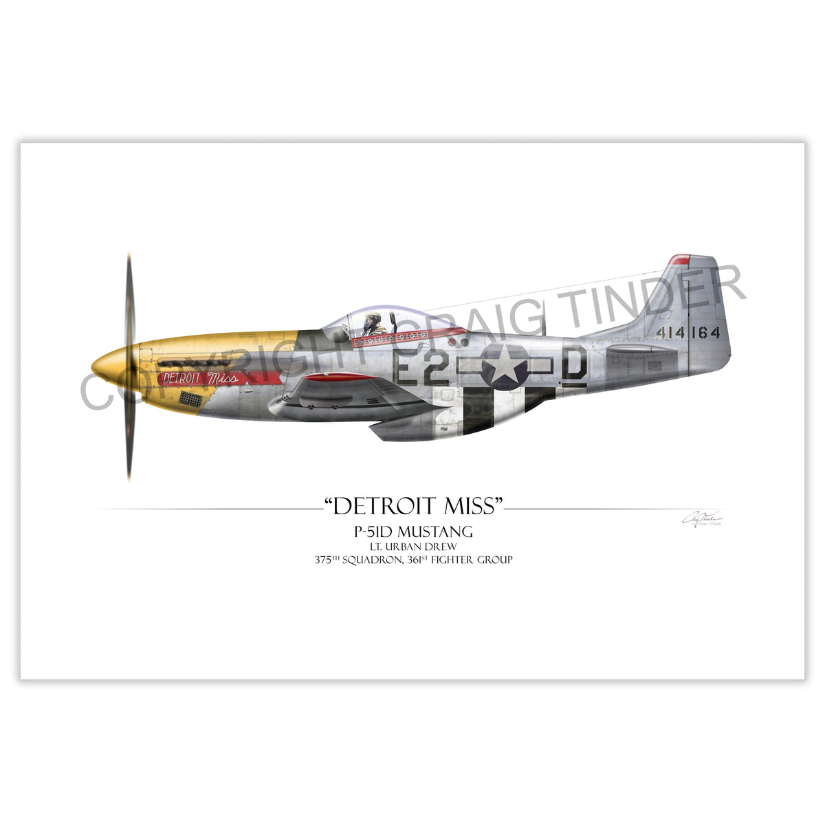 "Detroit Miss P-51D Mustang" - Art Print by Craig Tinder