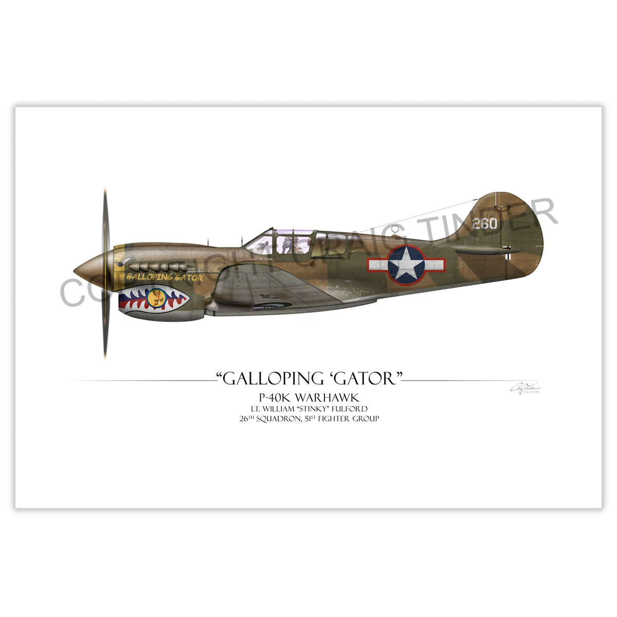 "Galloping Gator P-40k Warhawk" - Art Print by Craig Tinder