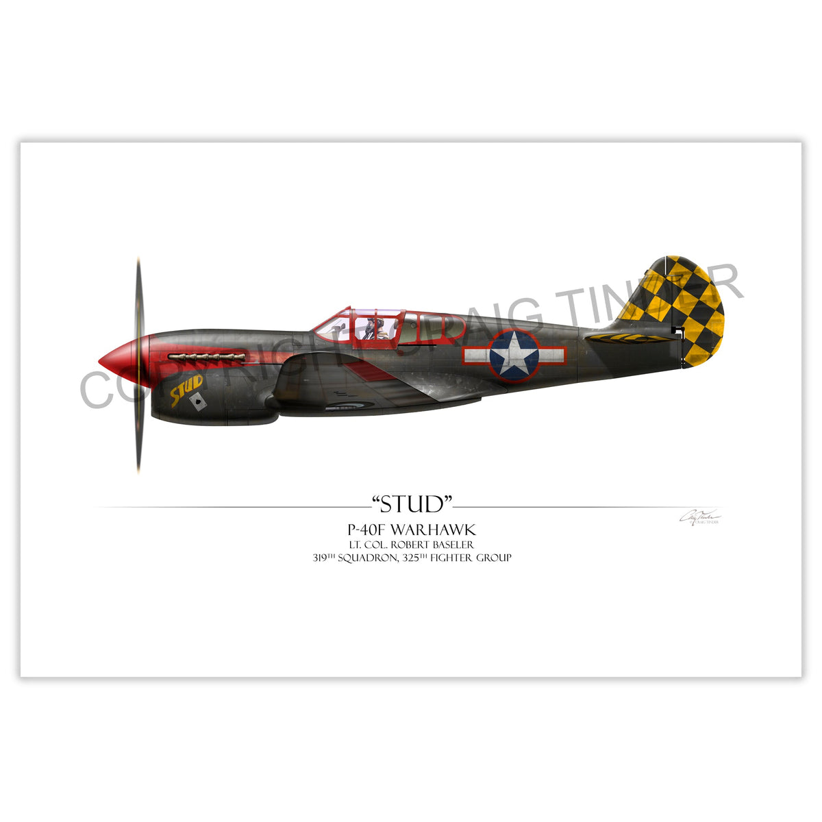"Stud P-40 Warhawk" - Art Print by Craig Tinder - Aces In Action