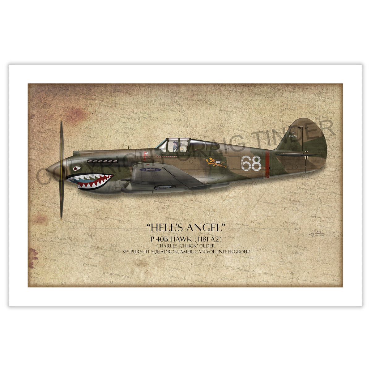 Flying Tiger P-40 Warhawk Aviation Art Print - Profile-Art Print-Aces In Action: The Workshop of Artist Craig Tinder