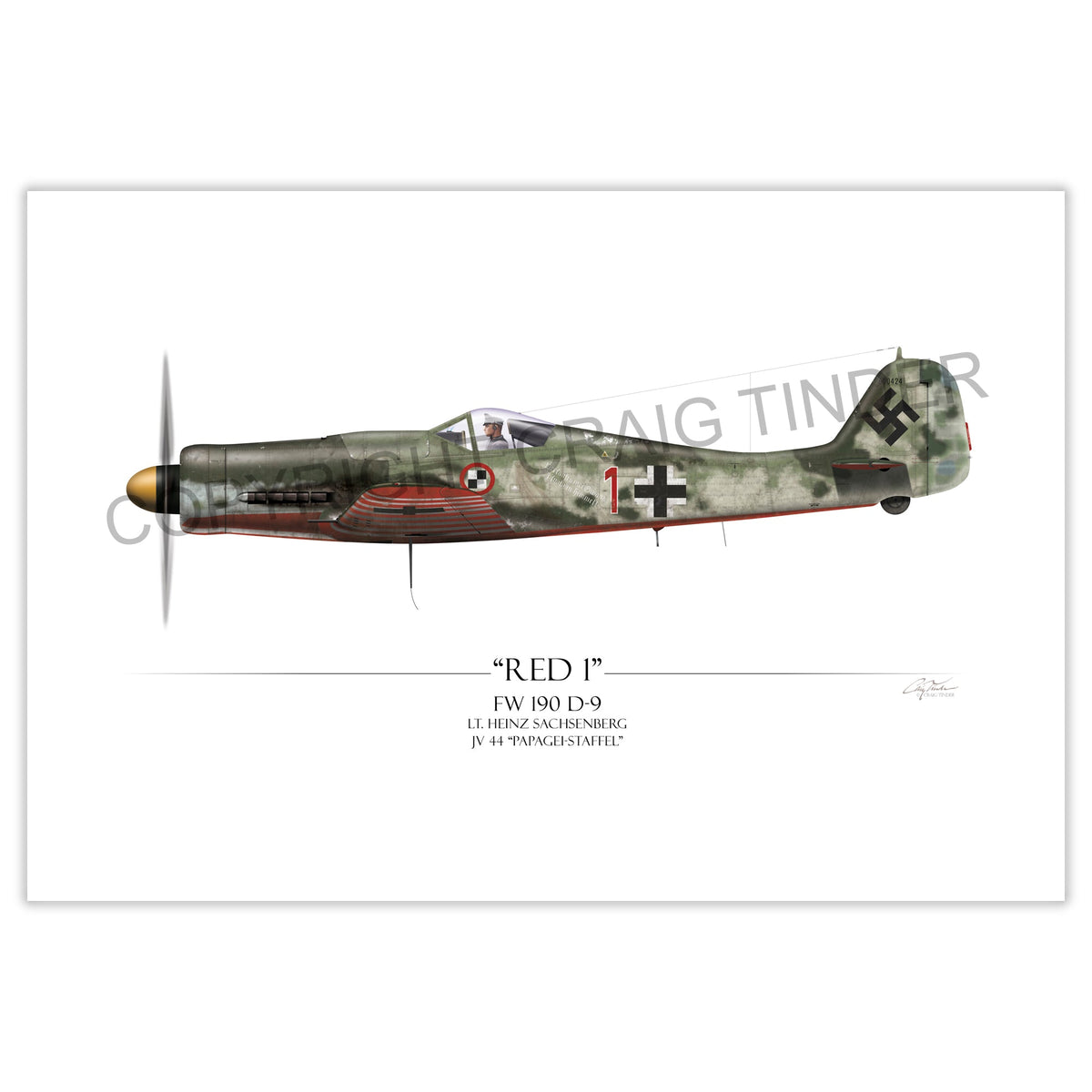 Focke-Wulf Fw 190 D9 - Red 1 profile artwork by Craig Tinder