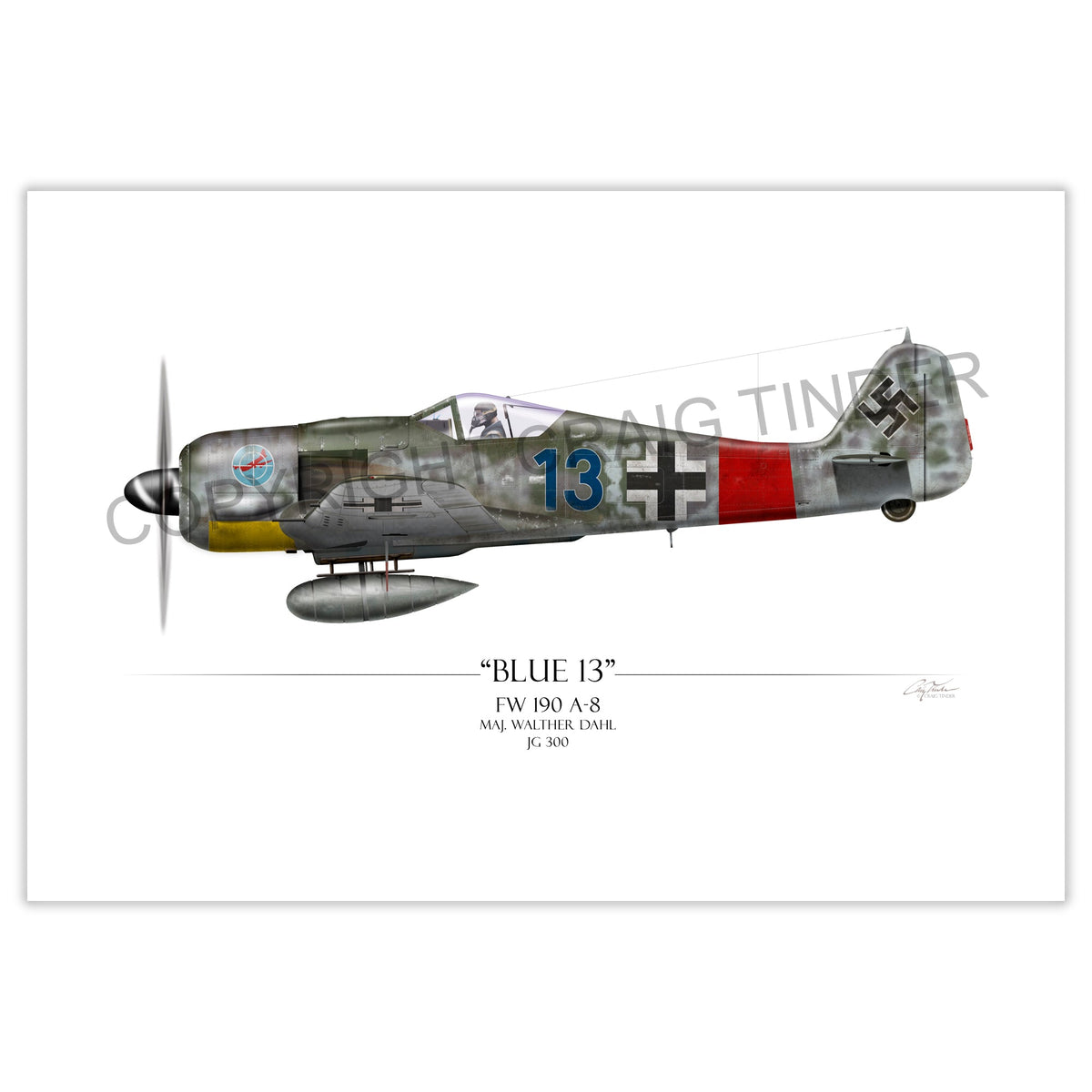 Focke-Wulf Fw 190 - Blue 13 profile artwork by Craig Tinder