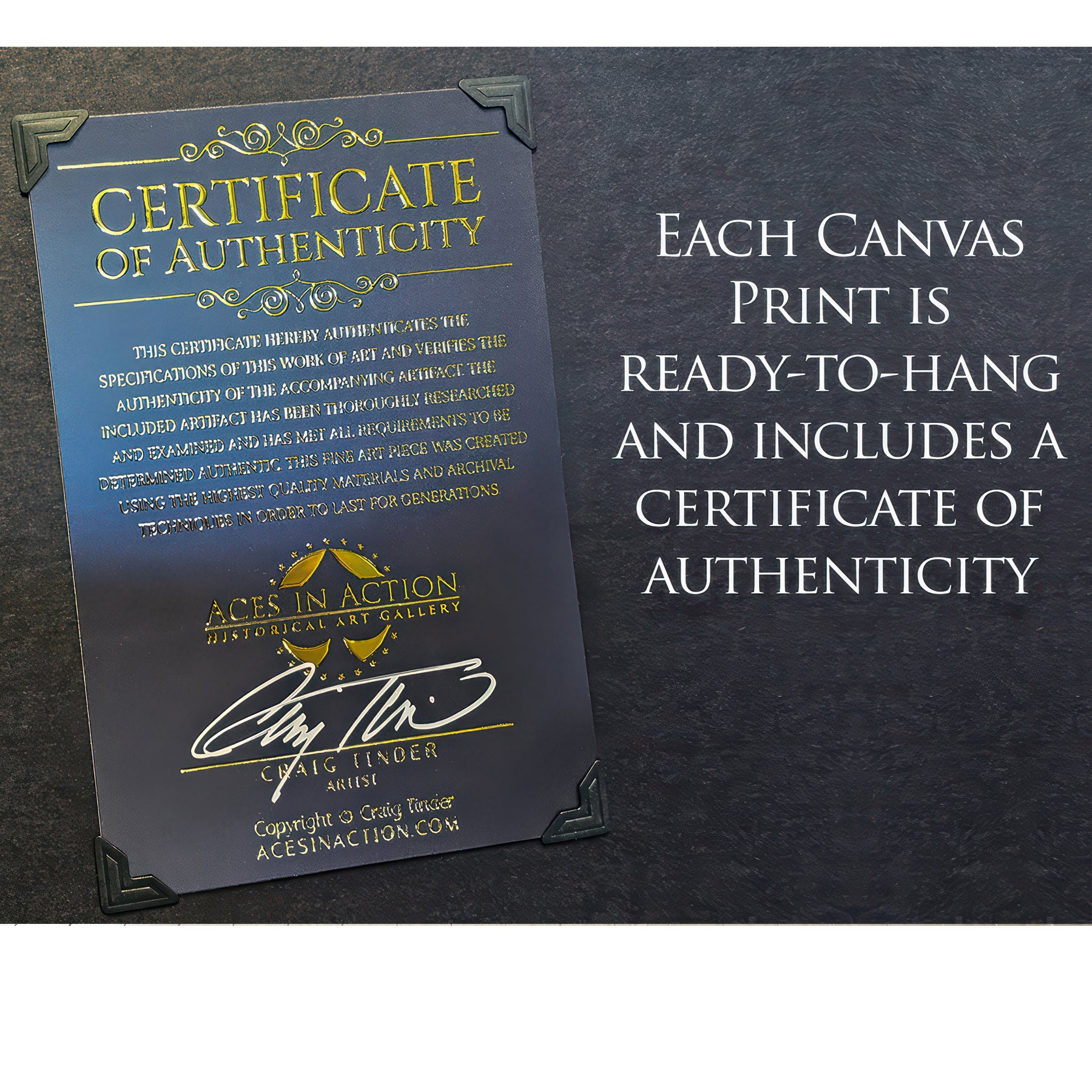 F-22 Raptor - Raptor's Icy Ascent Canvas | INCLUDES: Authentic Patch