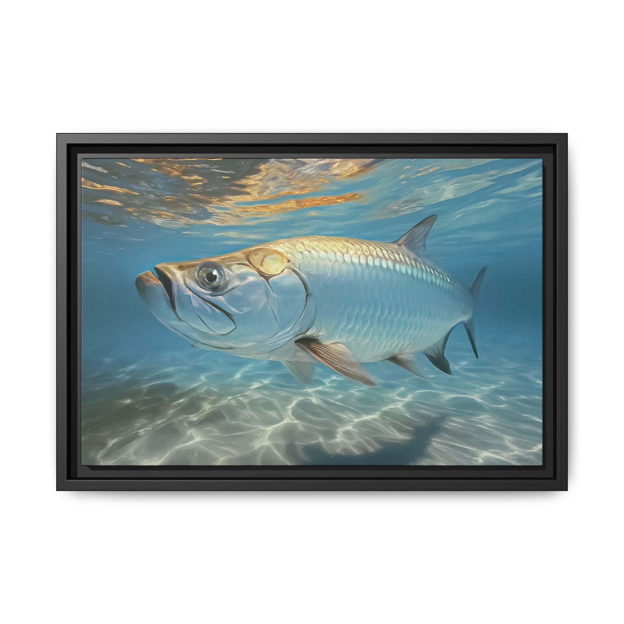Matte Canvas, Framed (Multi-color)