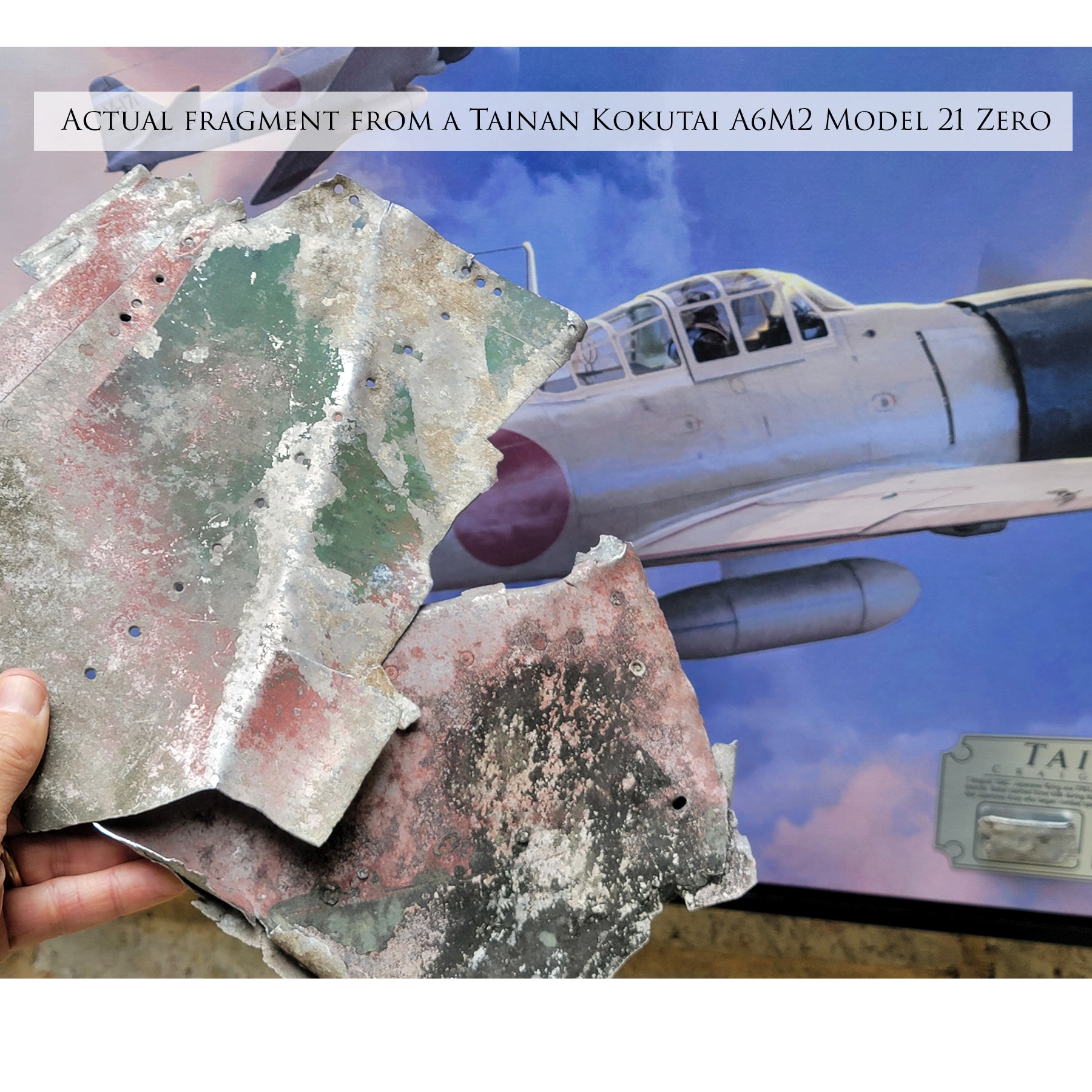 A6M2 Zero - Tainan Kokutai Canvas | INCLUDES: Wing Section Piece
