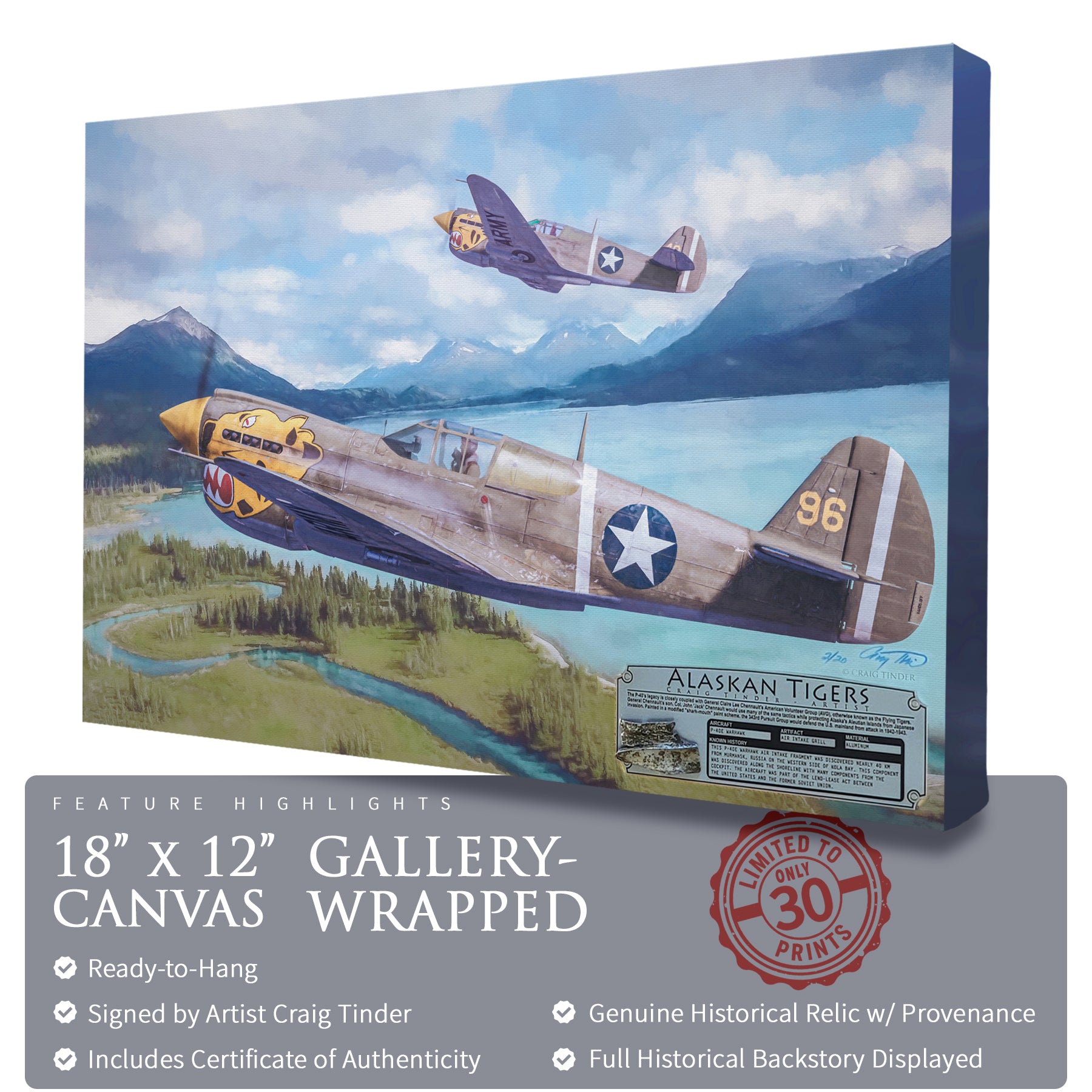 P-40 Warhawk - Alaskan Tigers Canvas | INCLUDES: Air Intake Fragment