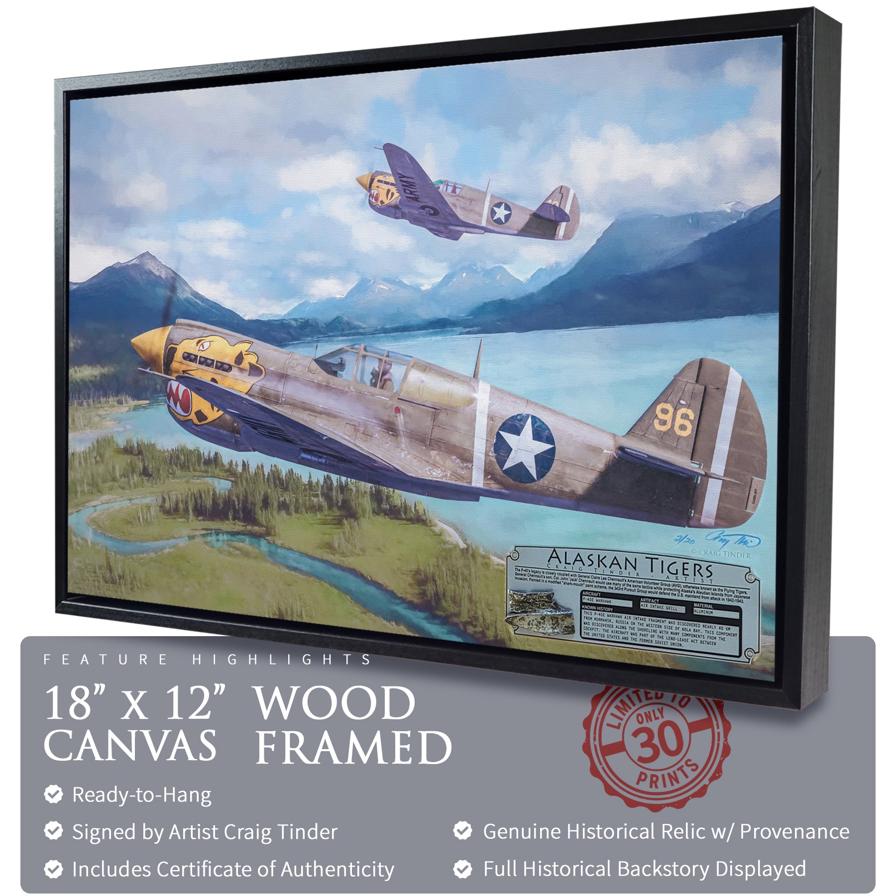 P-40 Warhawk - Alaskan Tigers Canvas | INCLUDES: Air Intake Fragment