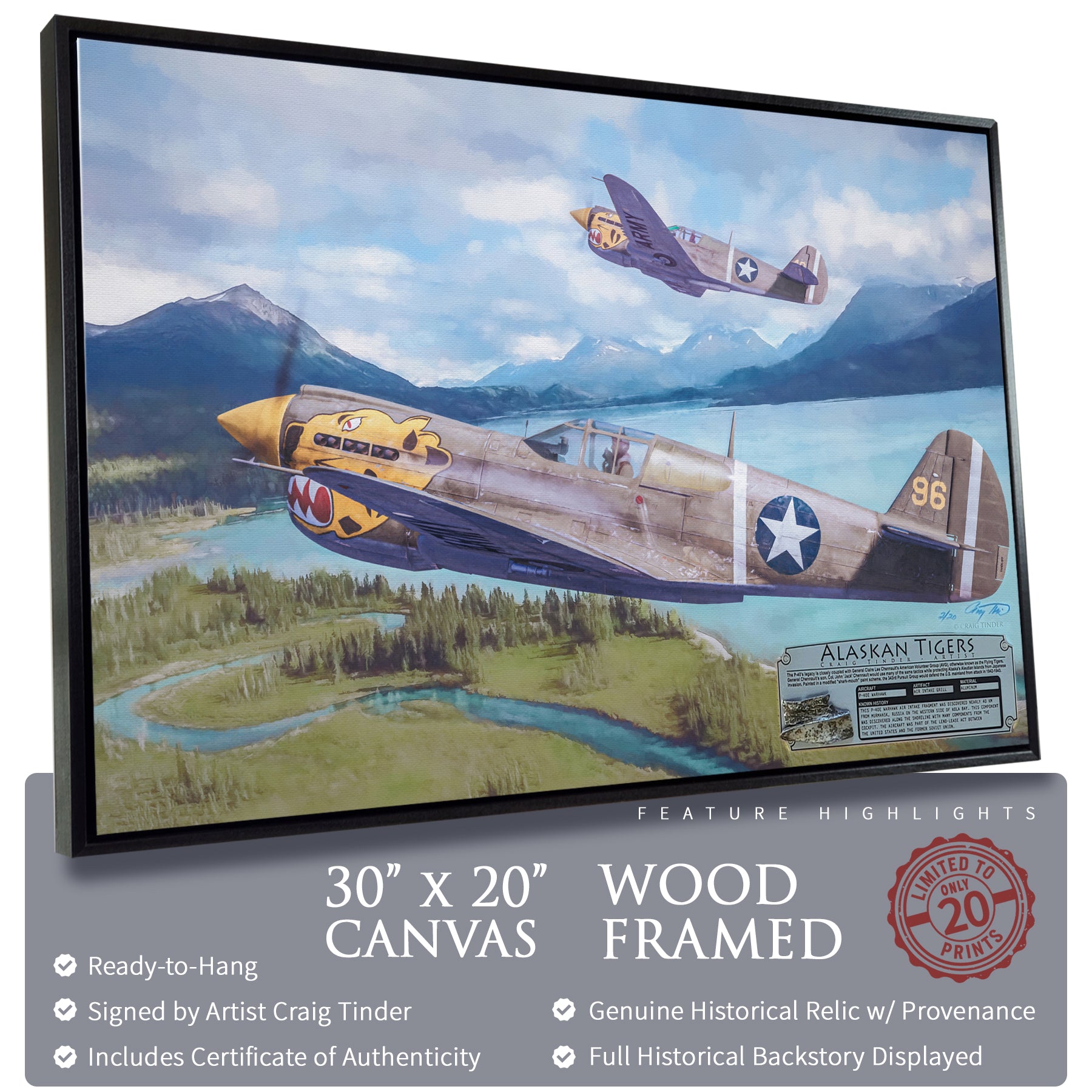 P-40 Warhawk - Alaskan Tigers Canvas | INCLUDES: Air Intake Fragment
