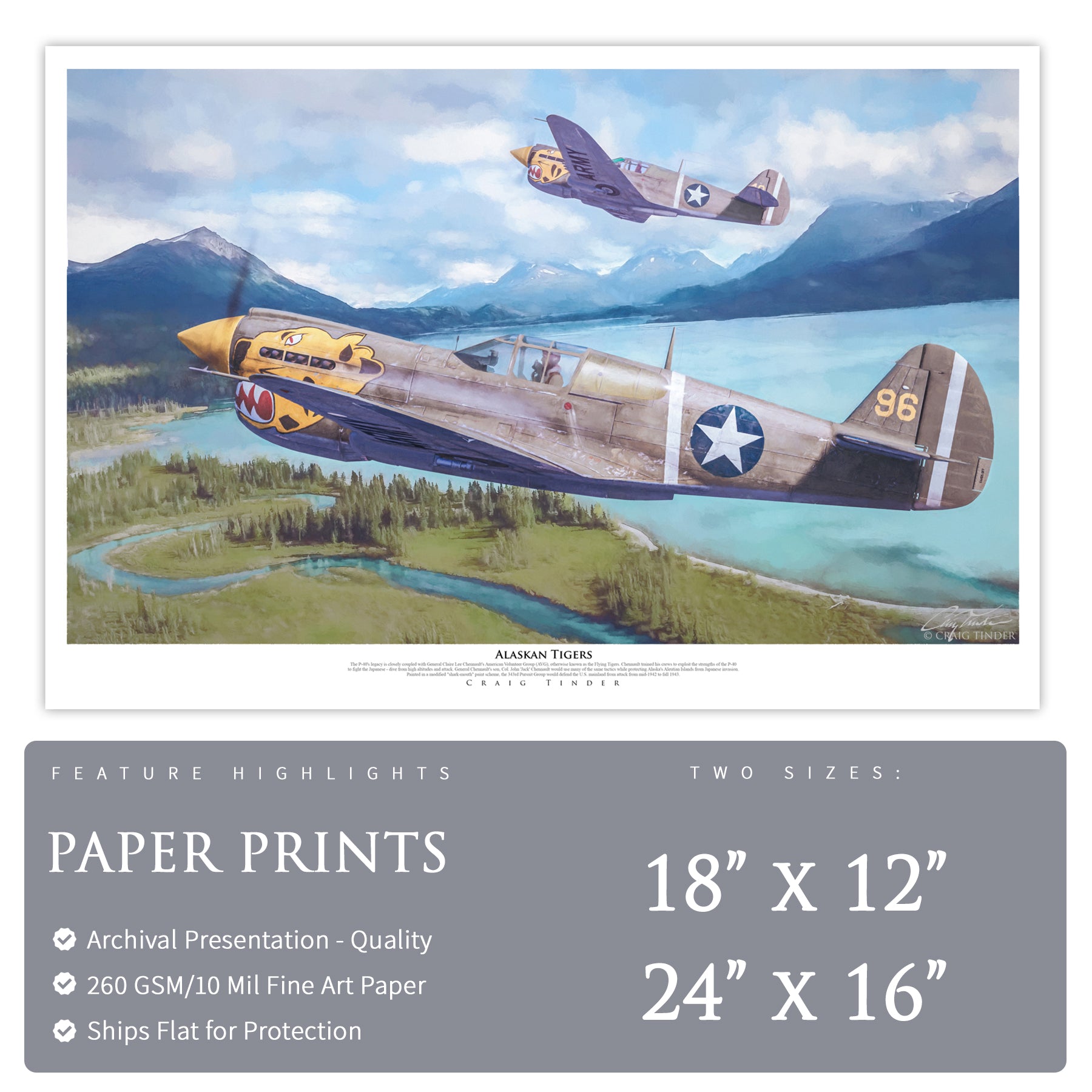 P-40 Warhawk - Alaskan Tigers Canvas | INCLUDES: Air Intake Fragment