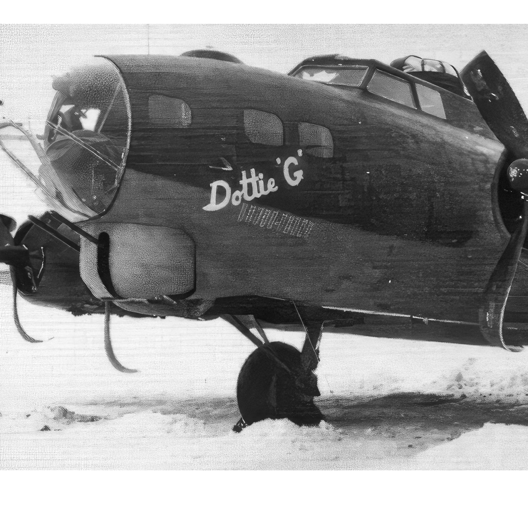 B-17 Flying Fortress - Dottie G's Escape to Switzerland Canvas | INCLUDES: 92nd BG B-17 Relic