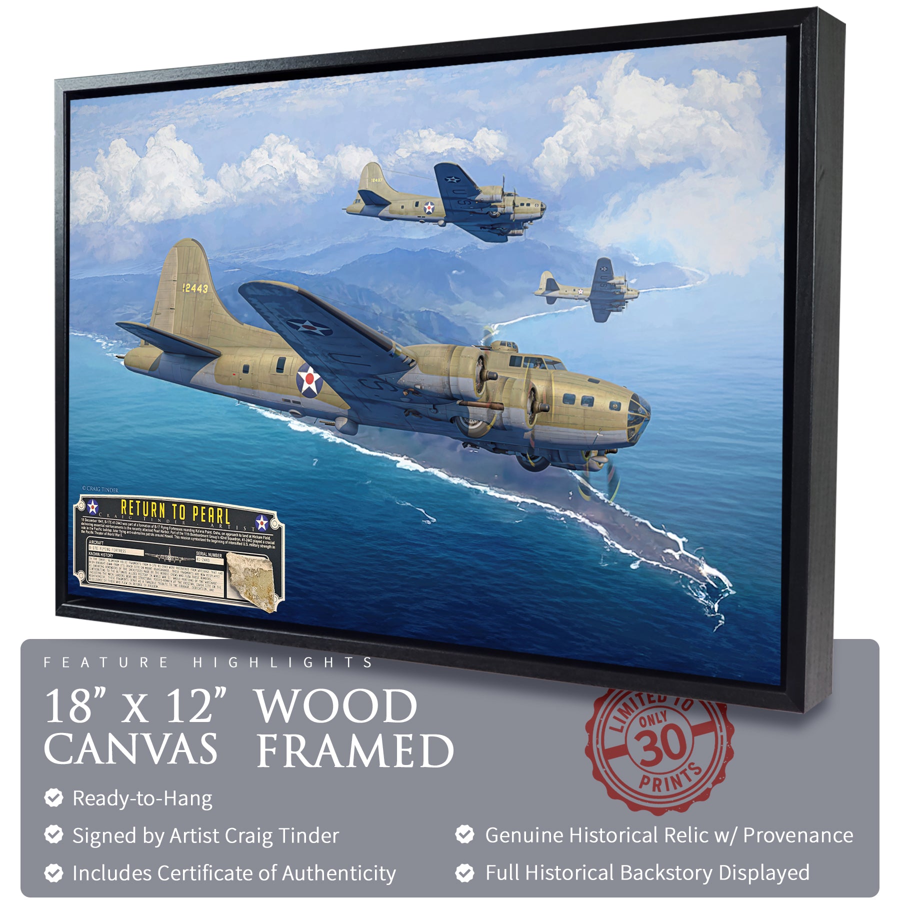 B-17E Flying Fortress - The Return to Pearl Canvas | INCLUDES: Skin Fragment