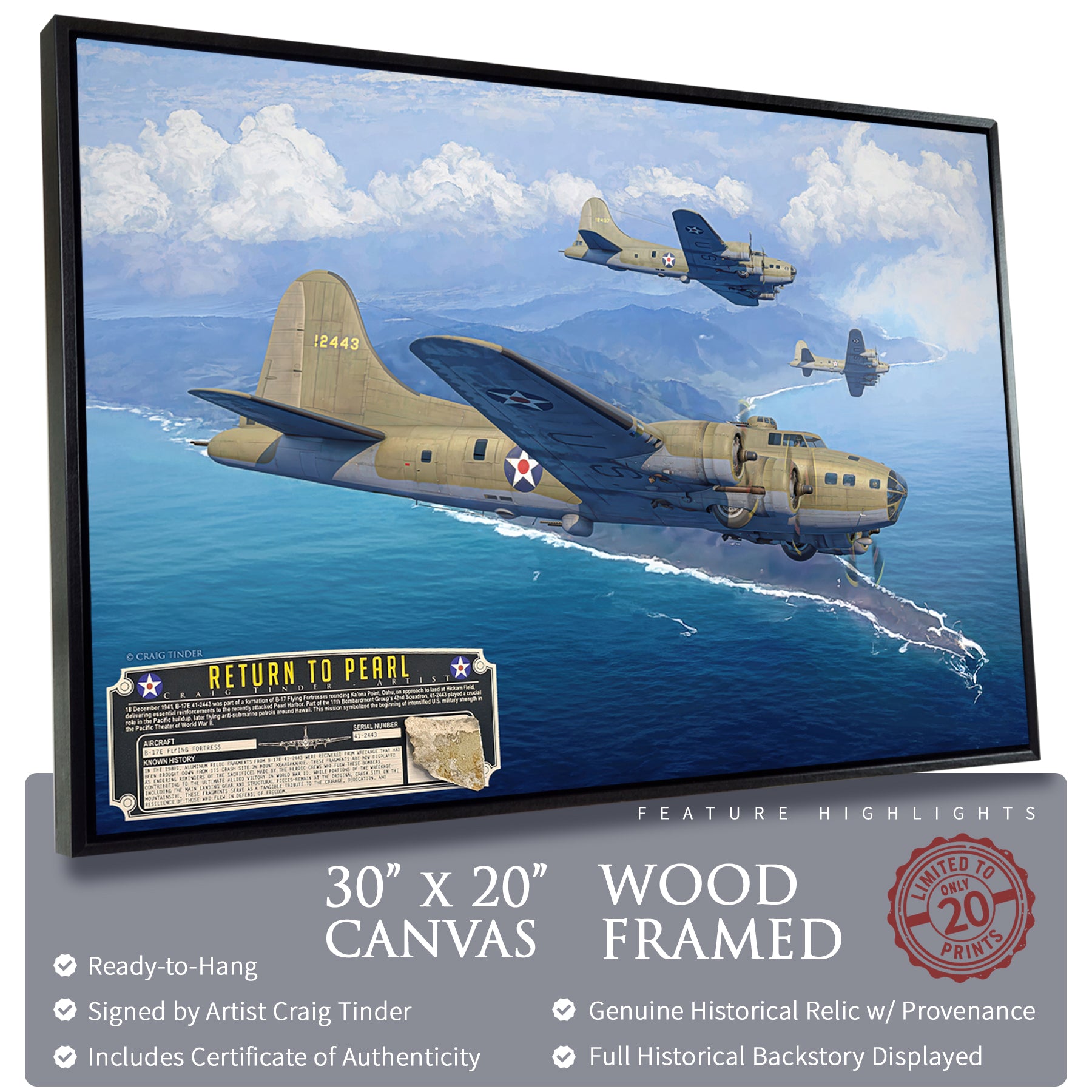 B-17E Flying Fortress - The Return to Pearl Canvas | INCLUDES: Skin Fragment