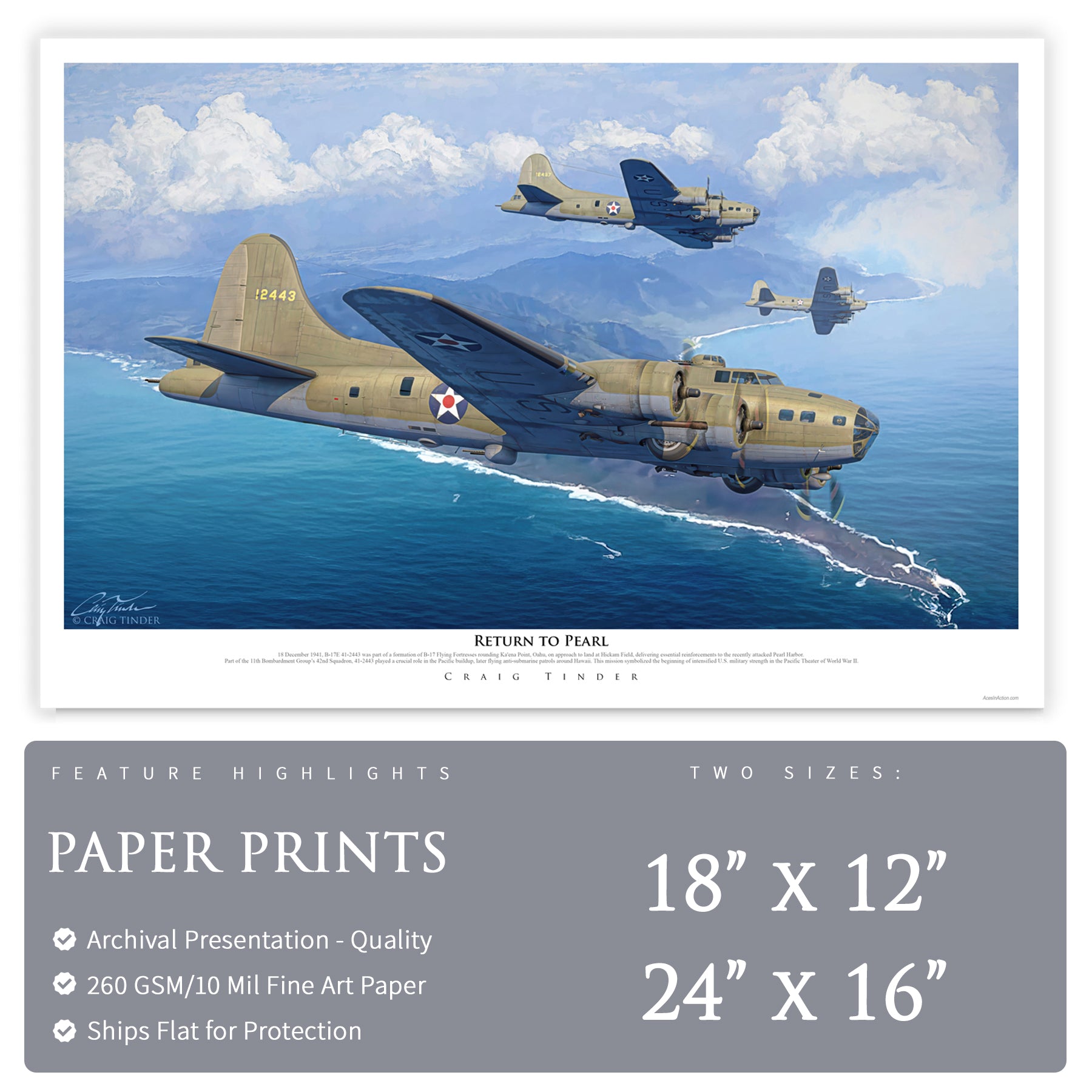 B-17E Flying Fortress - The Return to Pearl Canvas | INCLUDES: Skin Fragment