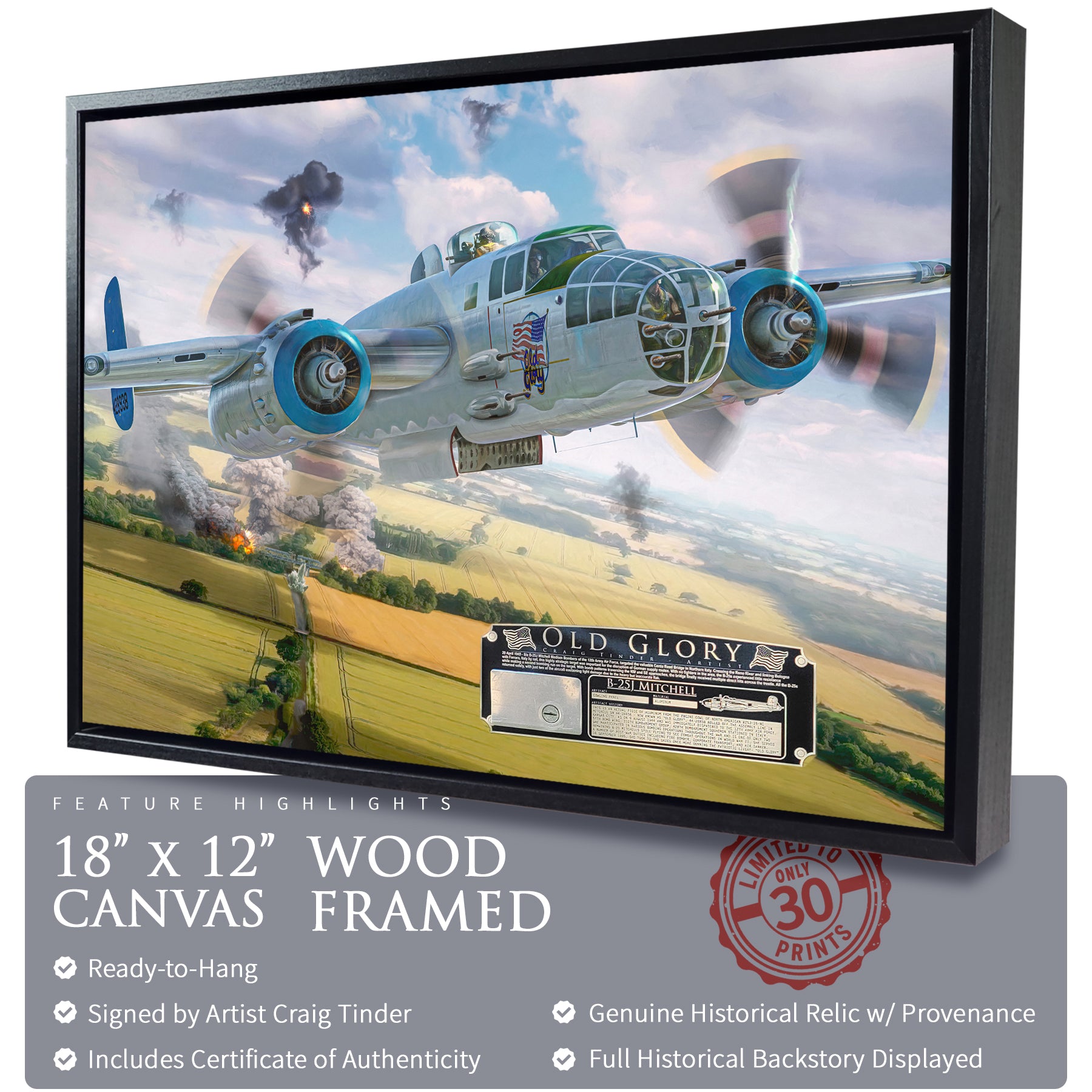 B-25 Mitchell - Old Glory Canvas | INCLUDES: Engine Cowl Panel Piece