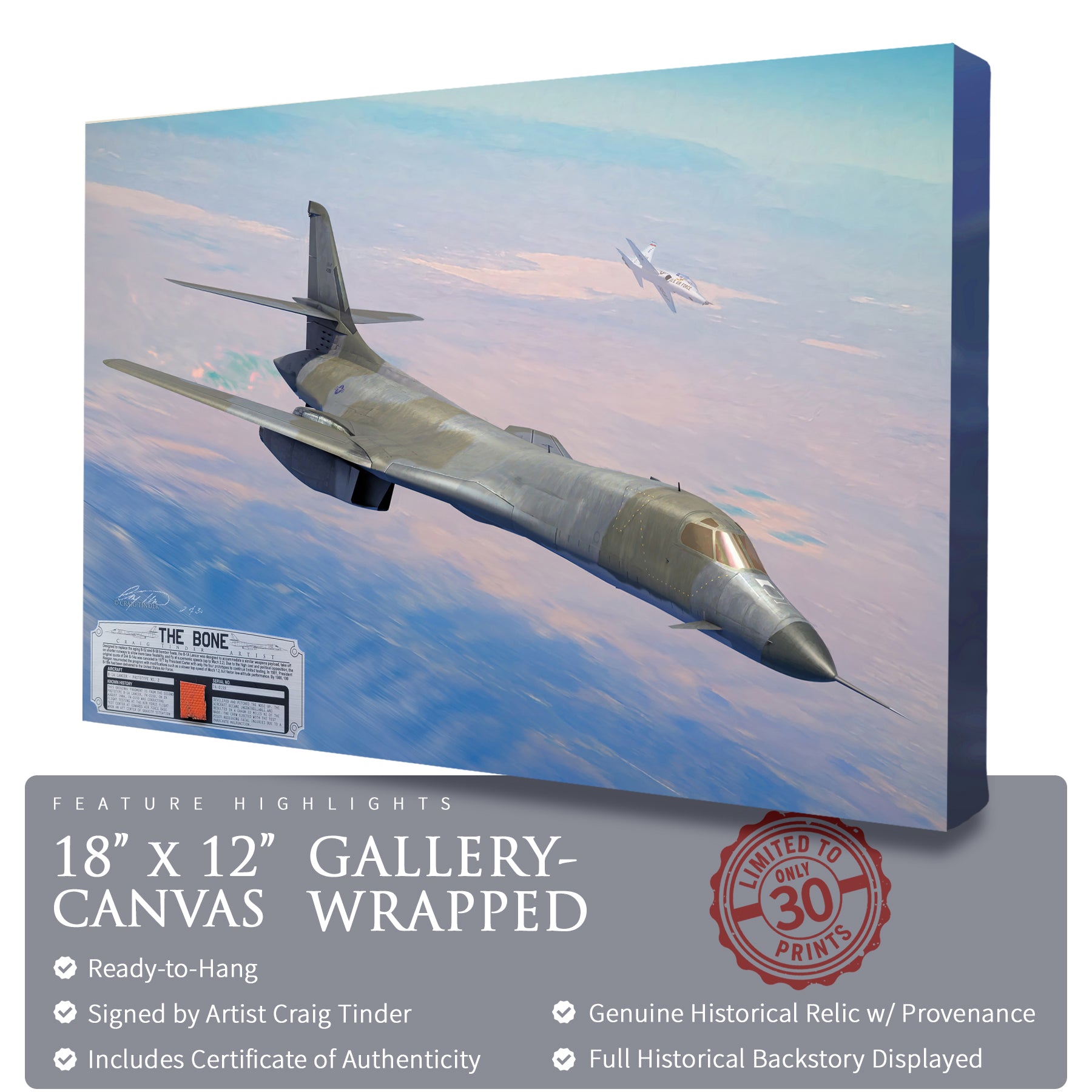 B-1 Lancer - The Bone Canvas | INCLUDES: B-1A Relic