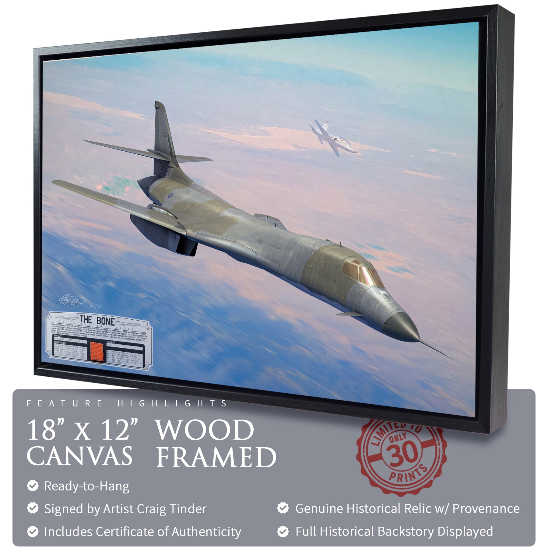 B-1 Lancer - The Bone Canvas | INCLUDES: B-1A Relic