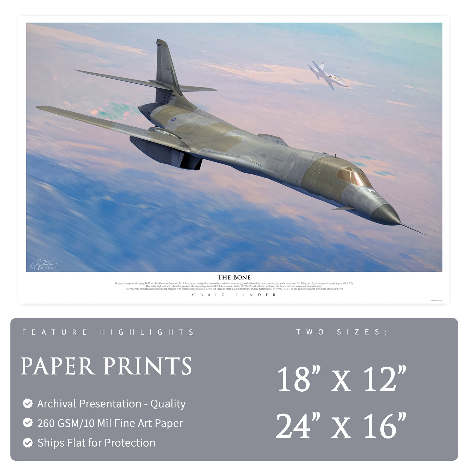 B-1 Lancer - The Bone Canvas | INCLUDES: B-1A Relic