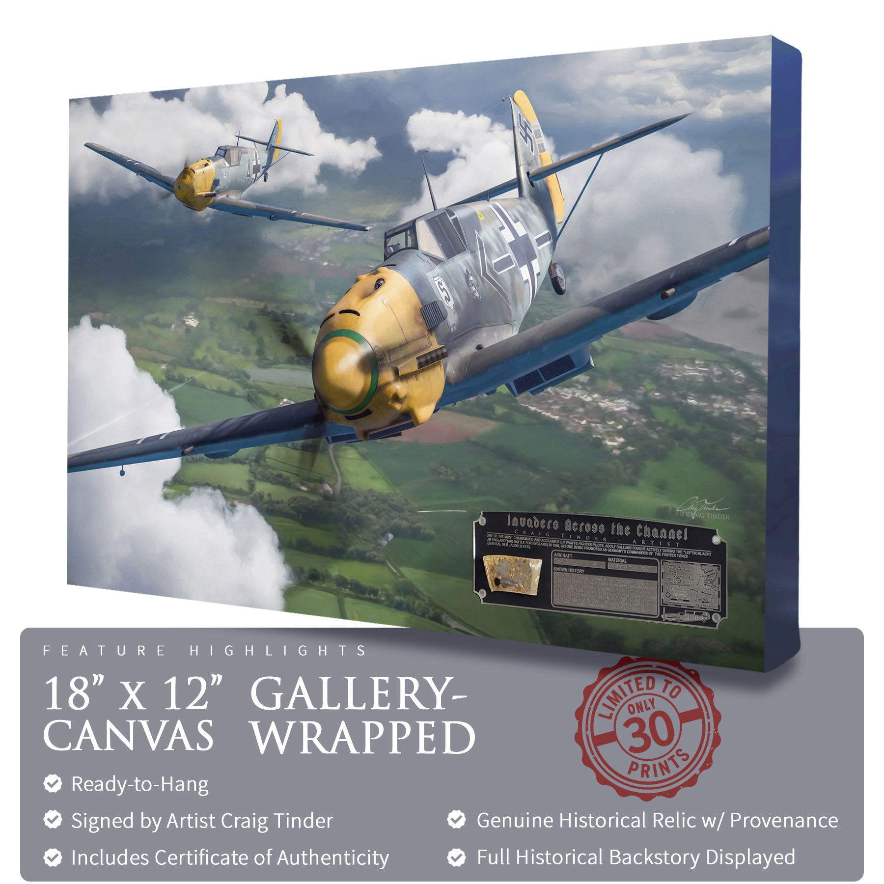 Messerschmitt Bf 109 - Invaders Across the Channel Canvas | INCLUDES: Wing Skin Relic
