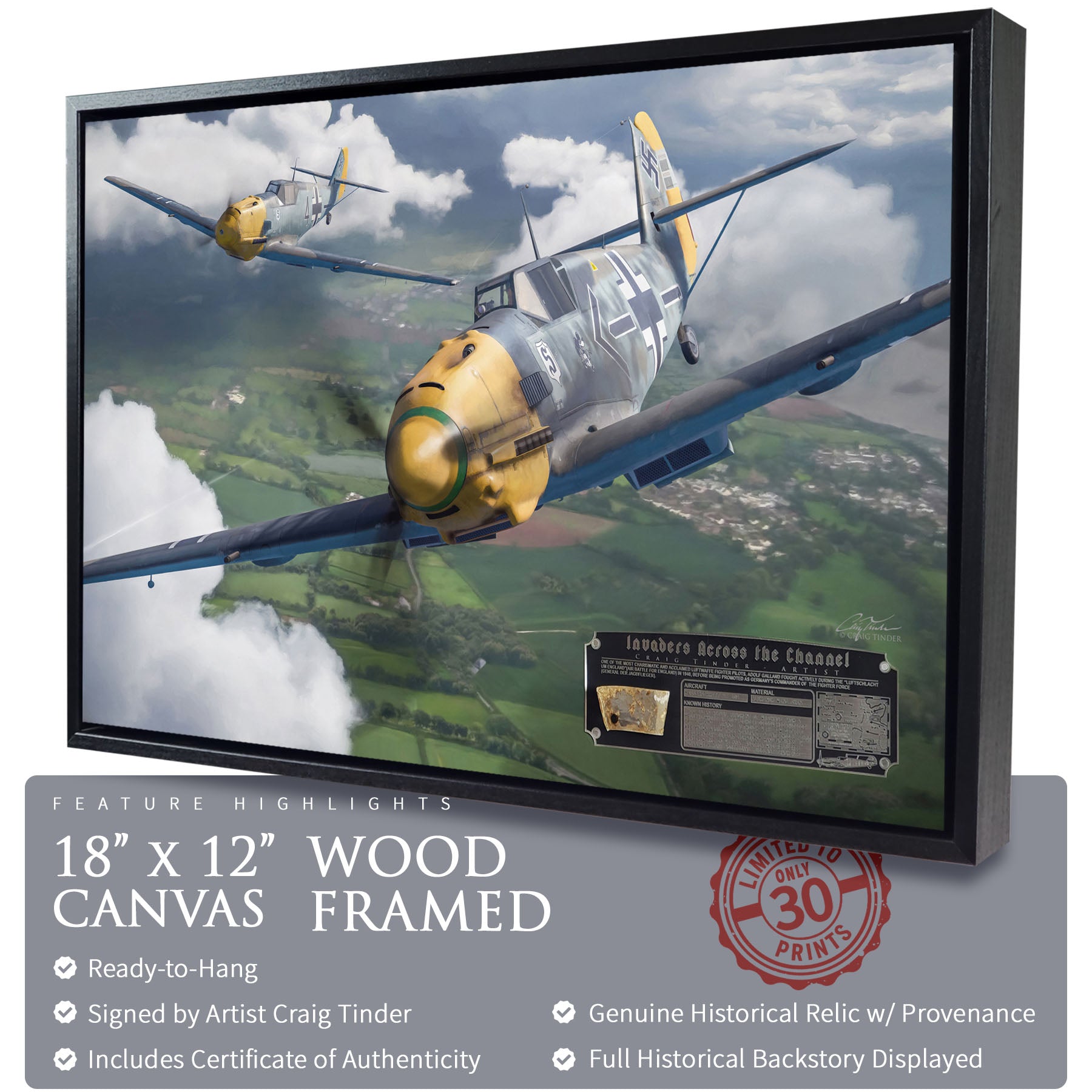 Messerschmitt Bf 109 - Invaders Across the Channel Canvas | INCLUDES: Wing Skin Relic