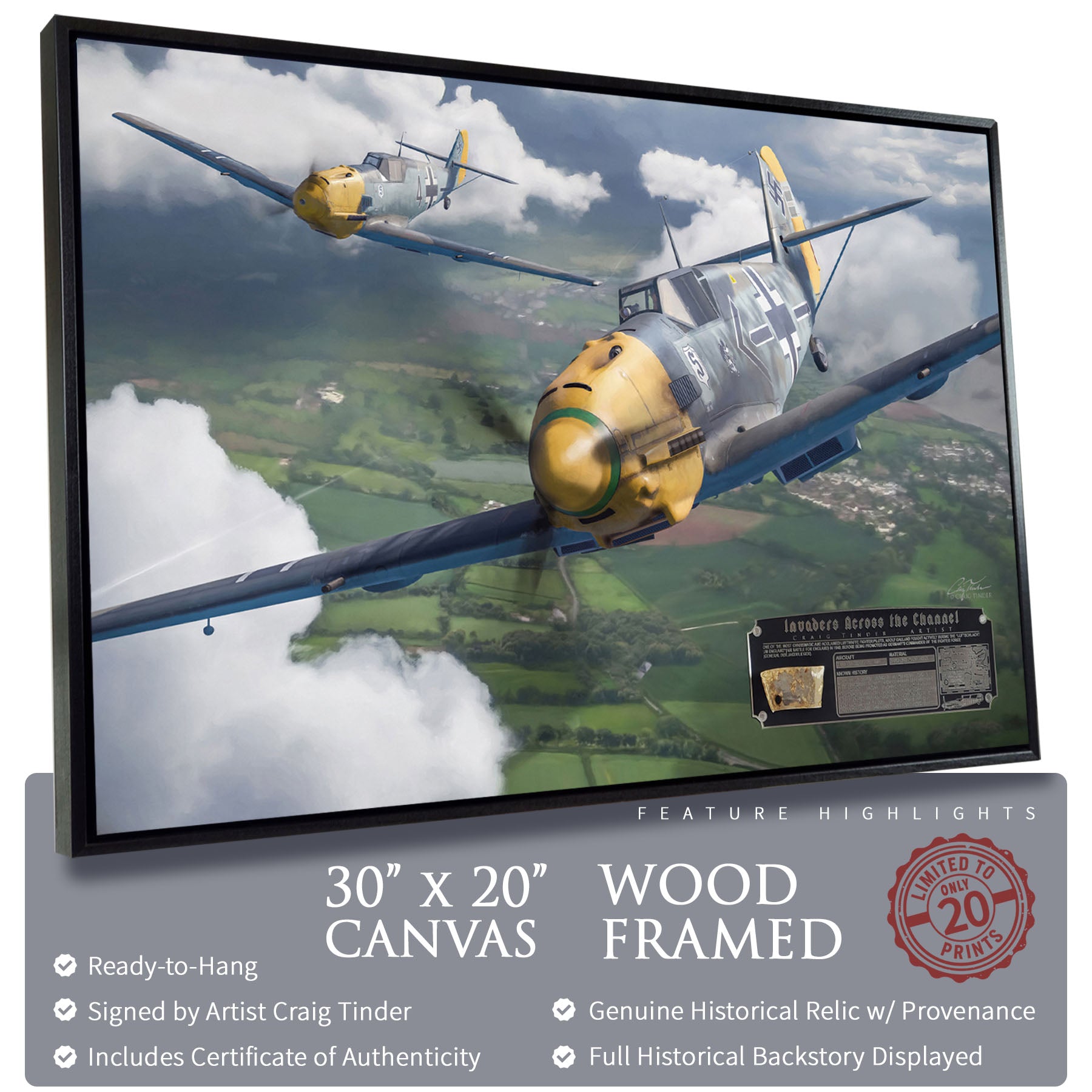 Messerschmitt Bf 109 - Invaders Across the Channel Canvas | INCLUDES: Wing Skin Relic