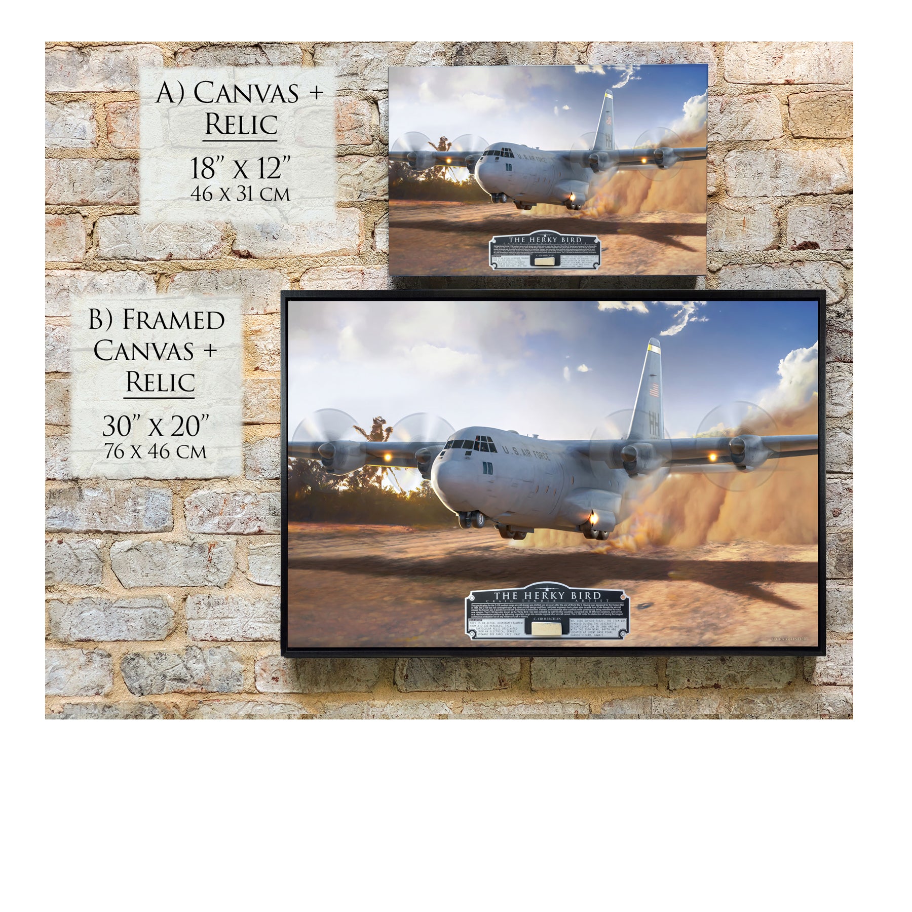 C-130 Hercules - The Herky Bird Canvas | INCLUDES: Stowage Box Panel Relic