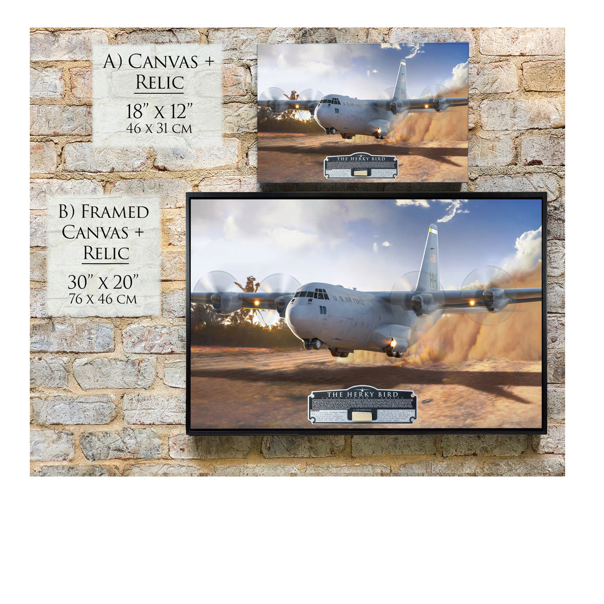 C-130 Hercules The Herky Bird historical relic material
