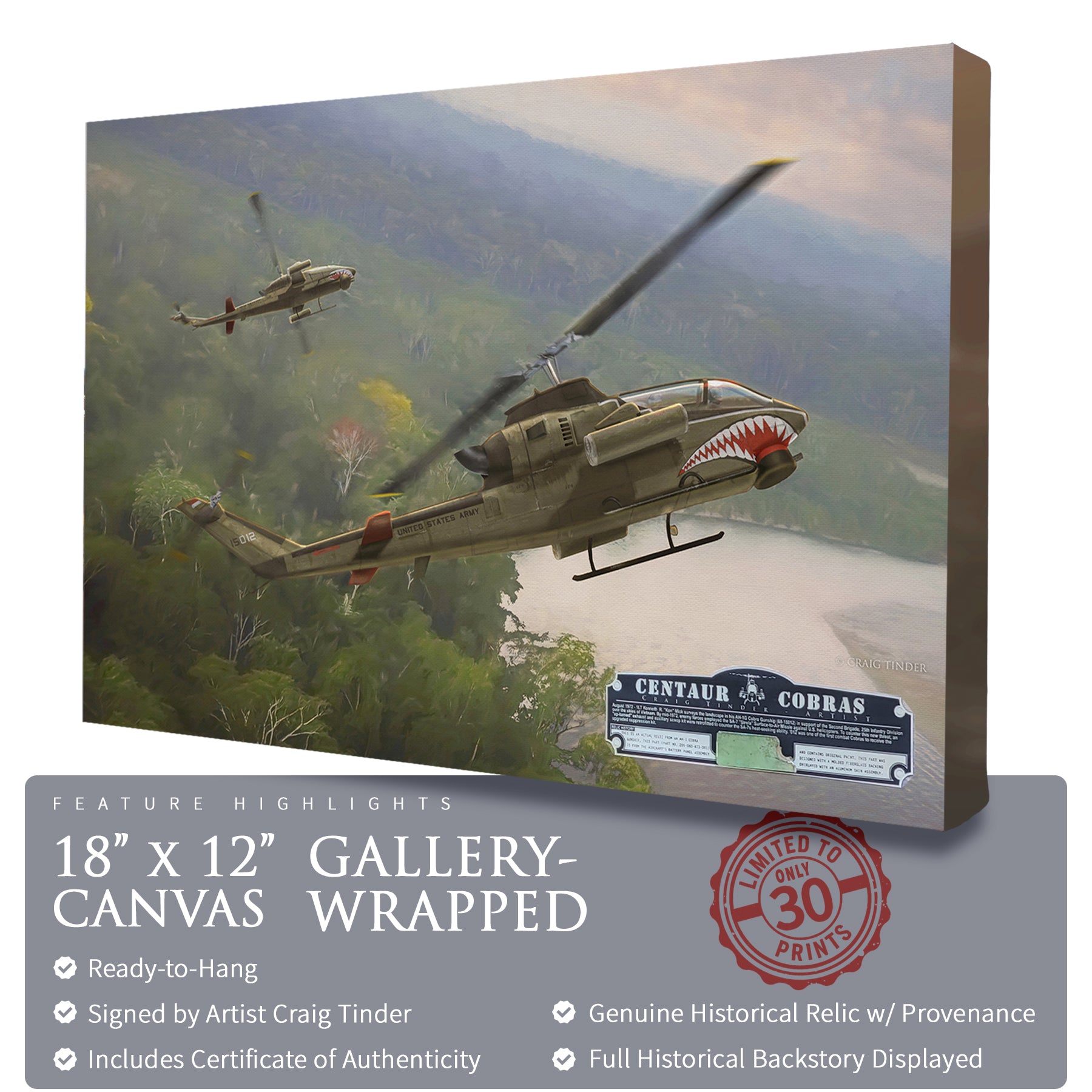 AH-1 Cobra Helicopter - Centaur Cobras Canvas | INCLUDES: Battery Panel Piece