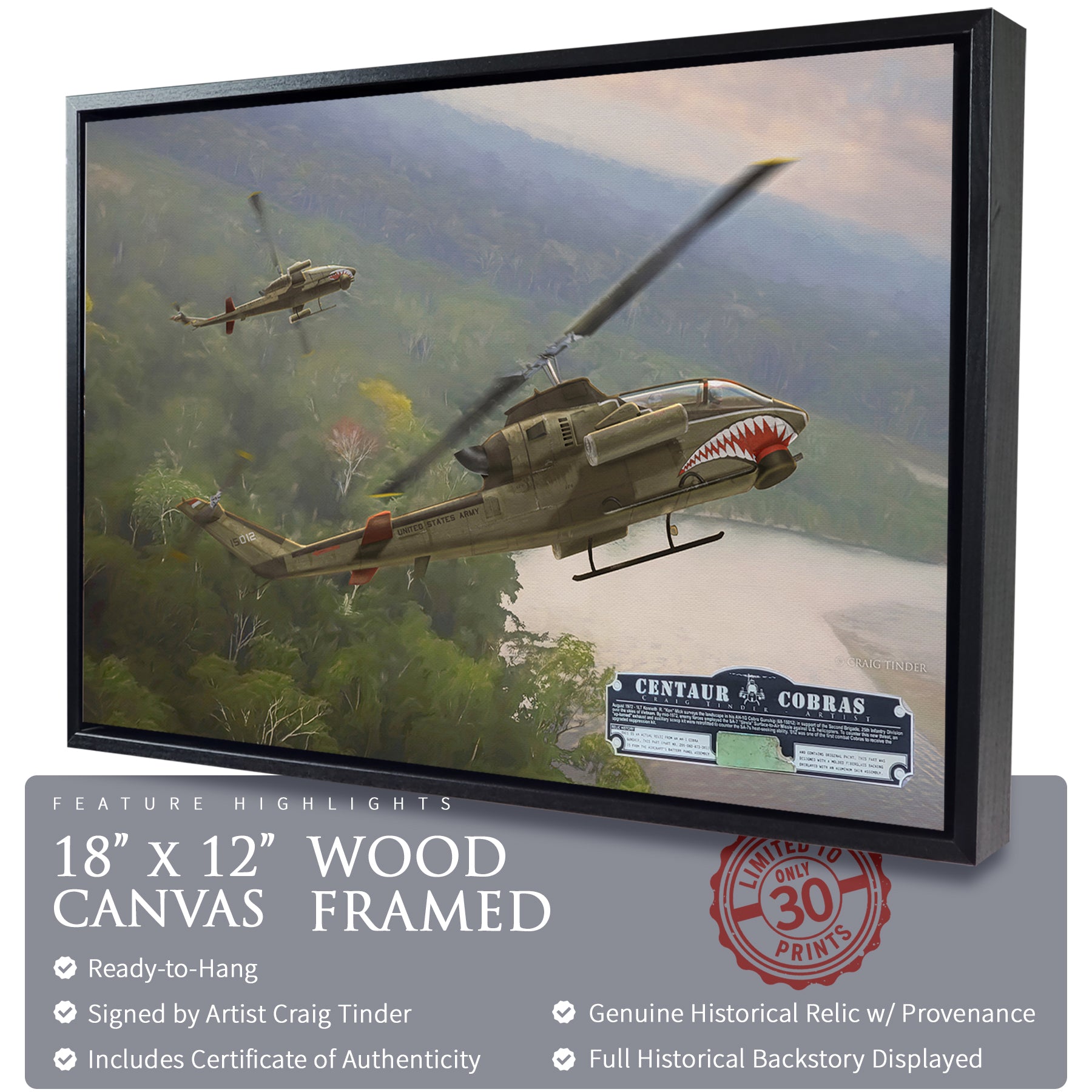 AH-1 Cobra Helicopter - Centaur Cobras Canvas | INCLUDES: Battery Panel Piece