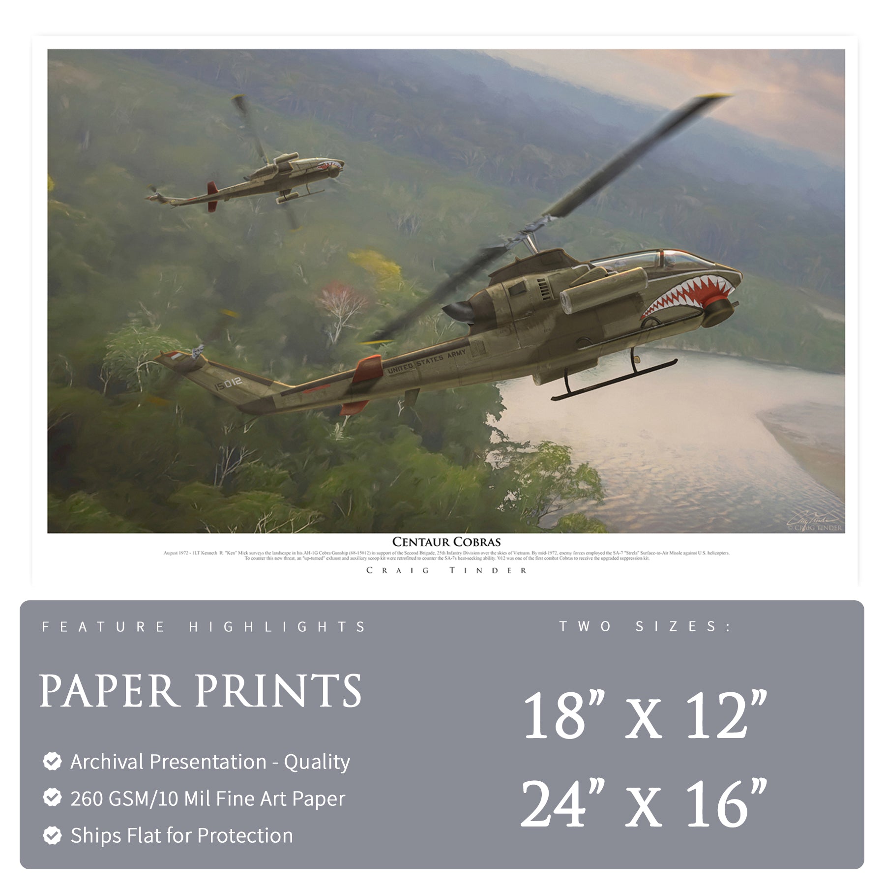 AH-1 Cobra Helicopter - Centaur Cobras Canvas | INCLUDES: Battery Panel Piece