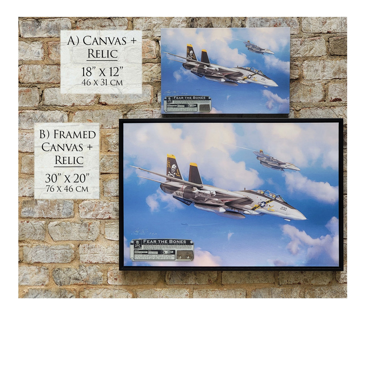 F-14 Fear the Bones historical relic material