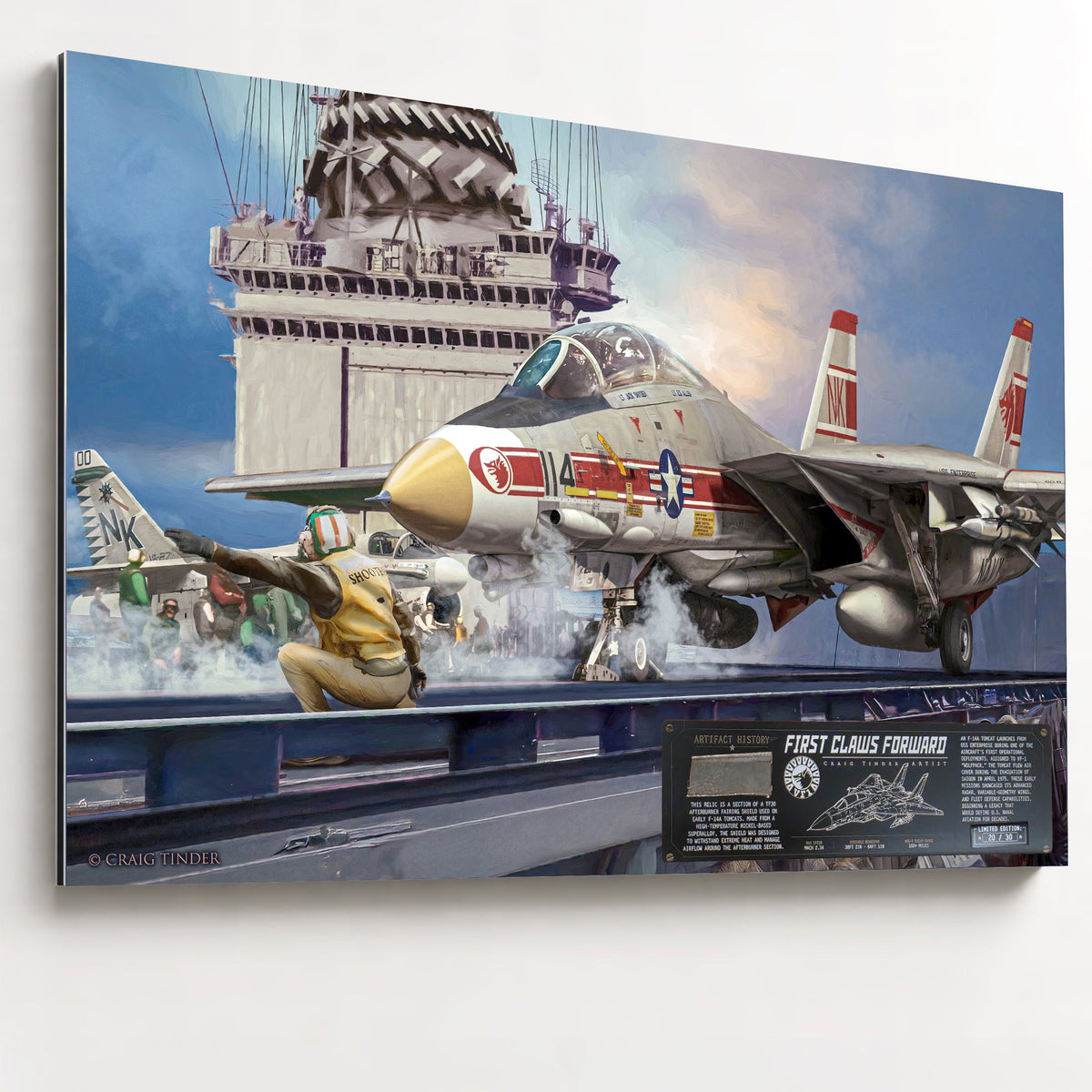 F-14 Tomcat - First Claws Forward Heritage Alloy relic artwork by Craig Tinder