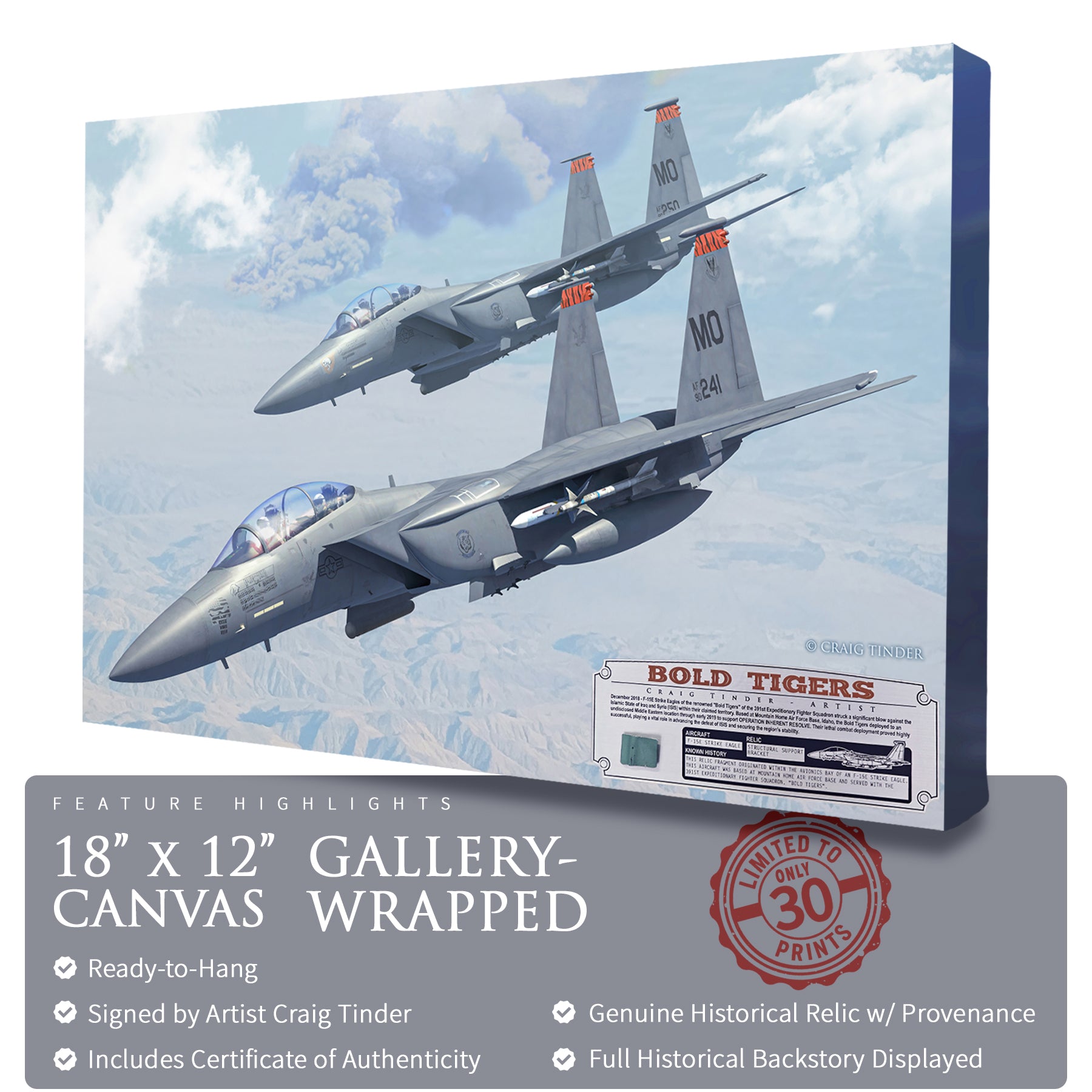 F-15 Strike Eagle - Bold Tigers Canvas | INCLUDES: Avionics Bay Relic