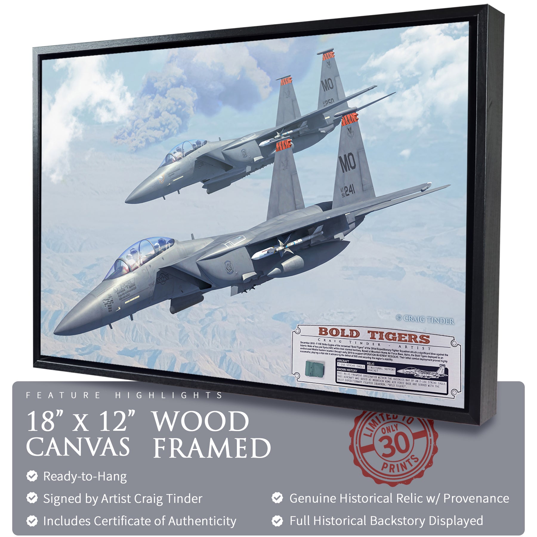 F-15 Strike Eagle - Bold Tigers Canvas | INCLUDES: Avionics Bay Relic