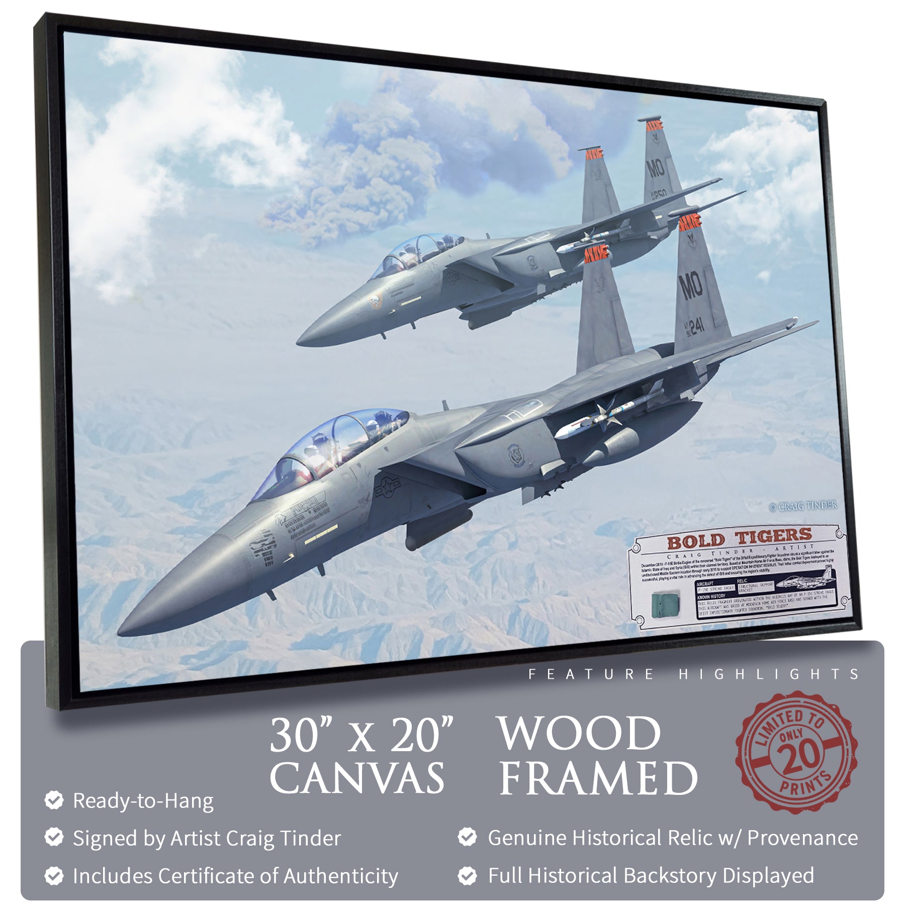 F-15 Strike Eagle - Bold Tigers Canvas | INCLUDES: Avionics Bay Relic