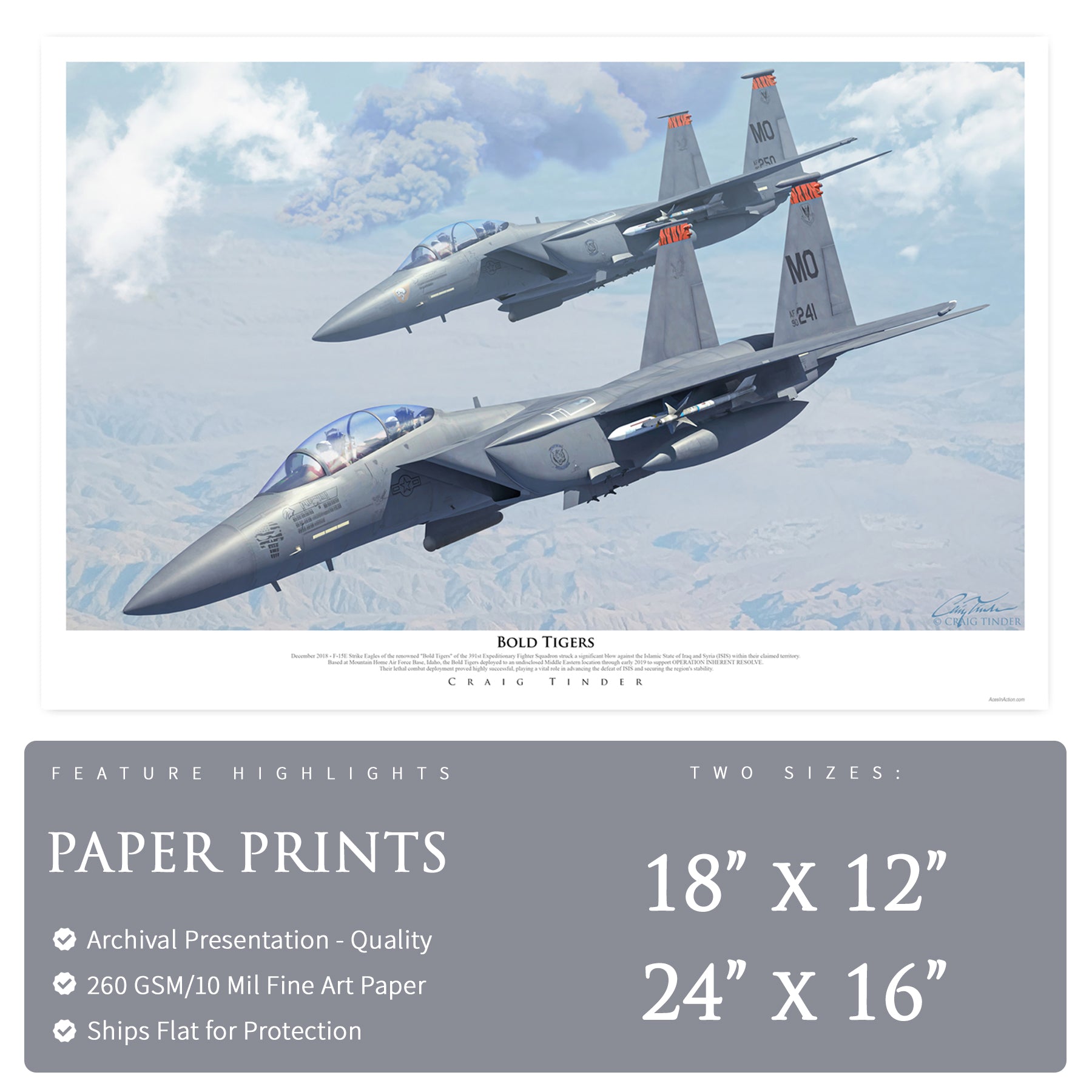 F-15 Strike Eagle - Bold Tigers Canvas | INCLUDES: Avionics Bay Relic