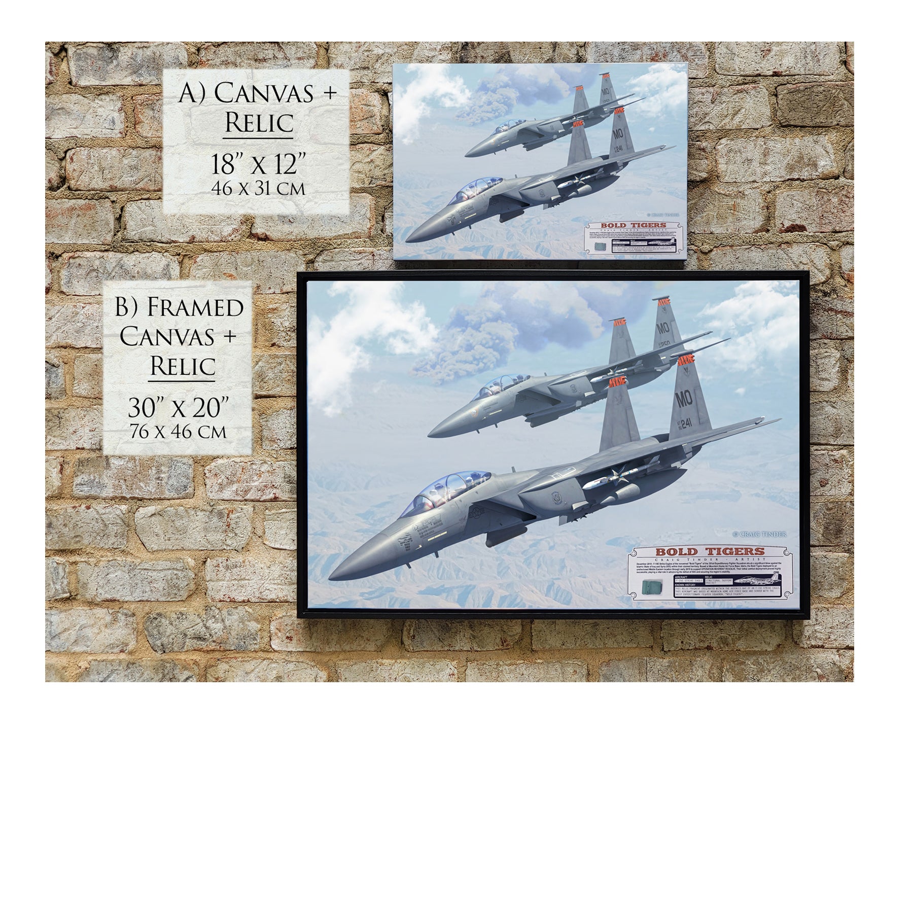 F-15 Strike Eagle - Bold Tigers Canvas | INCLUDES: Avionics Bay Relic
