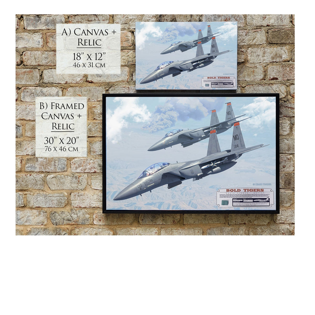 F-15E Bold Tigers historical relic material