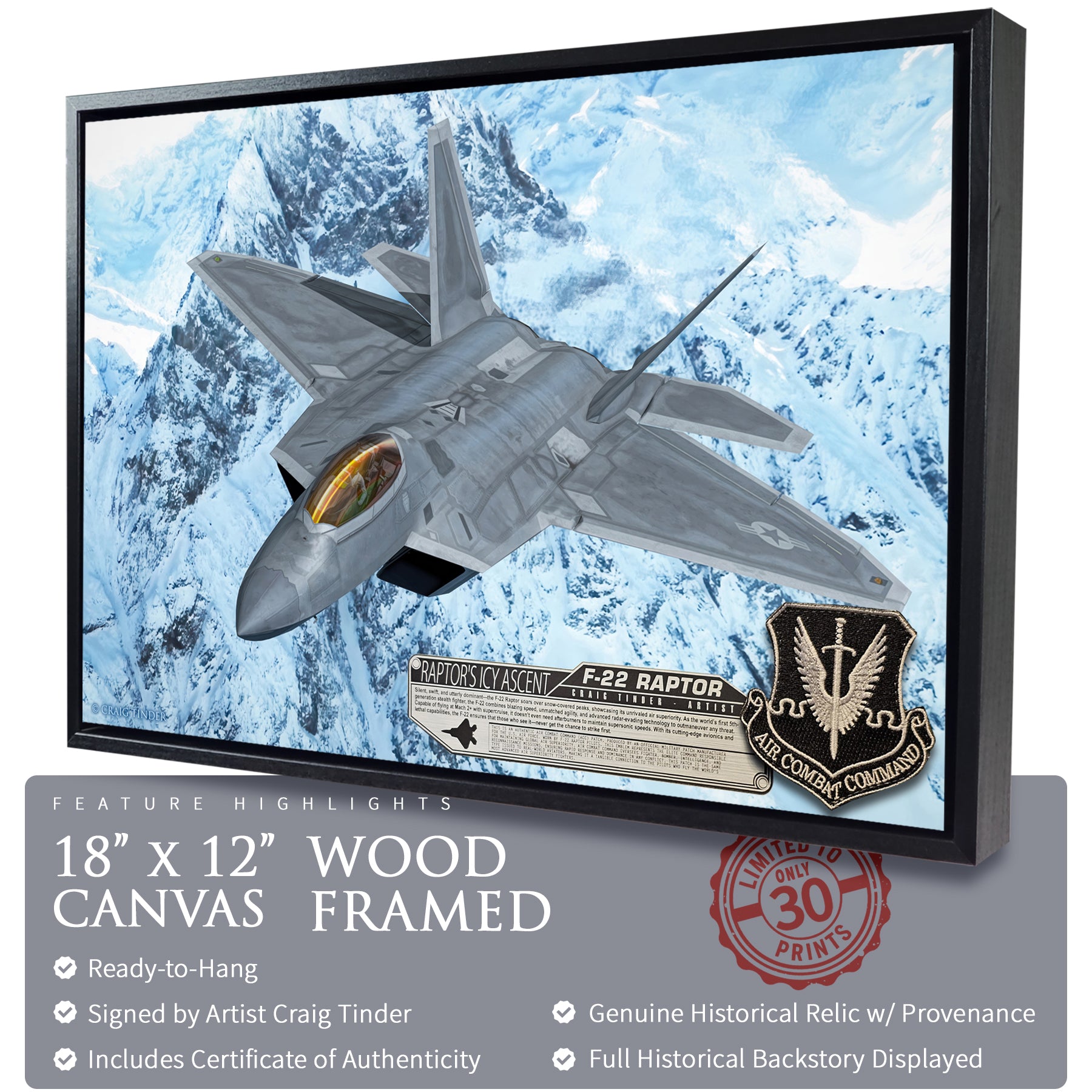 F-22 Raptor - Raptor's Icy Ascent Canvas | INCLUDES: Authentic Patch