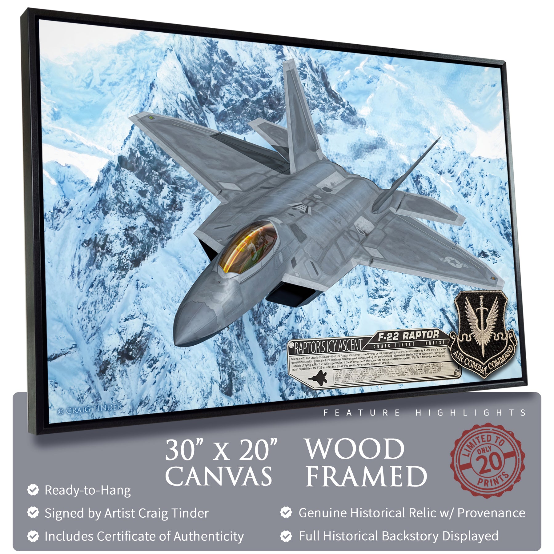 F-22 Raptor - Raptor's Icy Ascent Canvas | INCLUDES: Authentic Patch