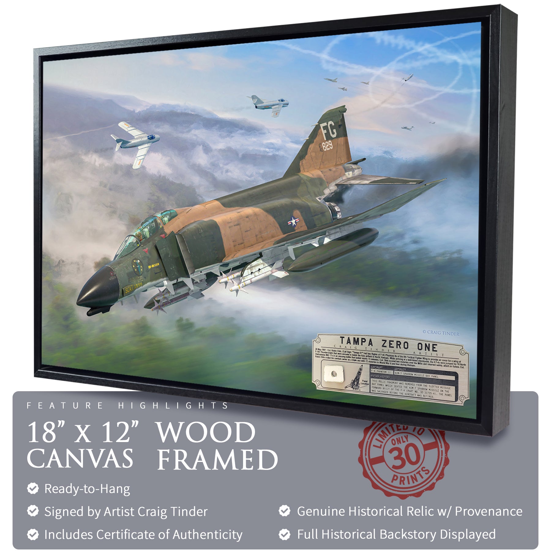 F-4 Phantom II - Tampa Zero One Canvas | INCLUDES: Missile Panel Relic