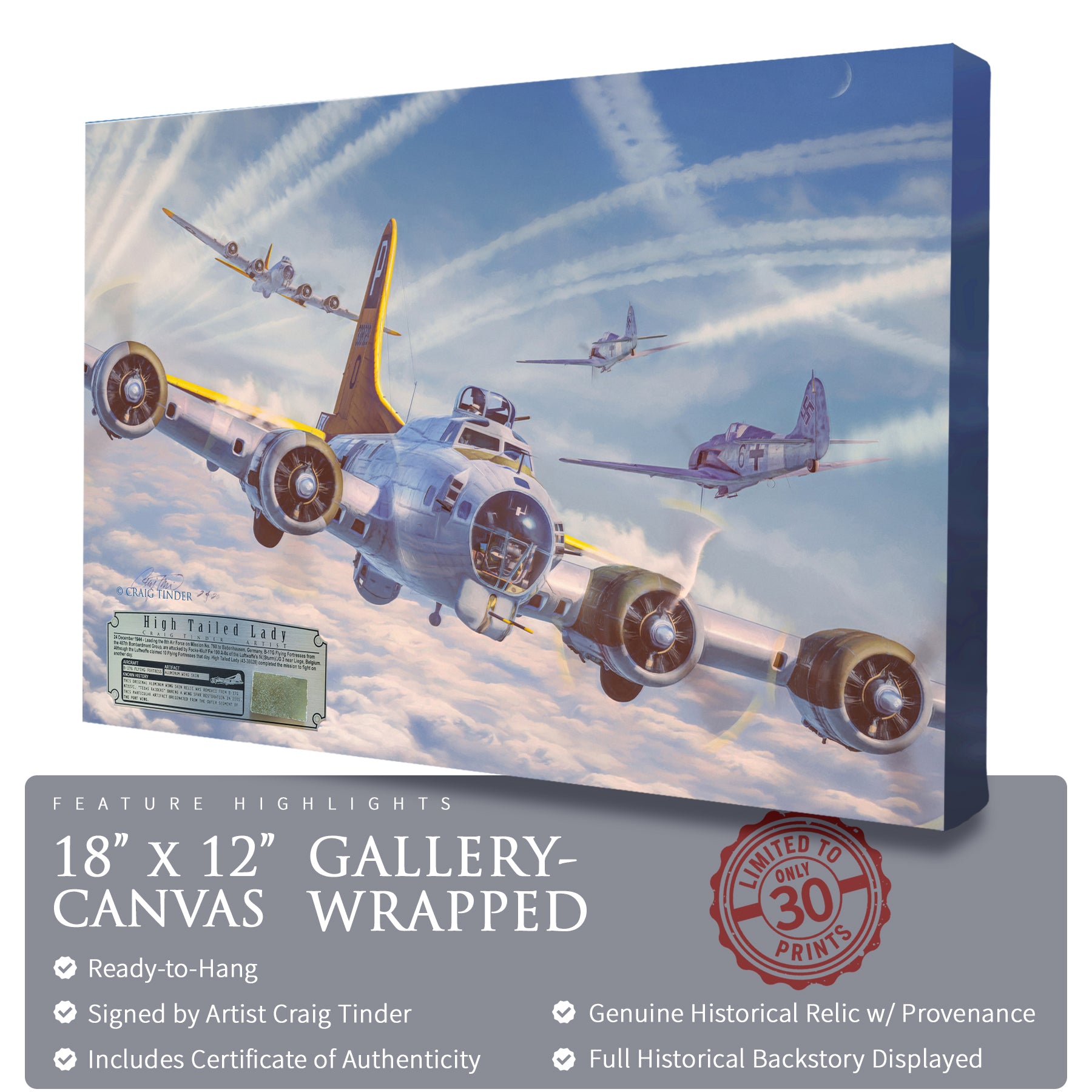 B-17 Flying Fortress - High Tailed Lady Canvas | INCLUDES: Wing Skin Fragment