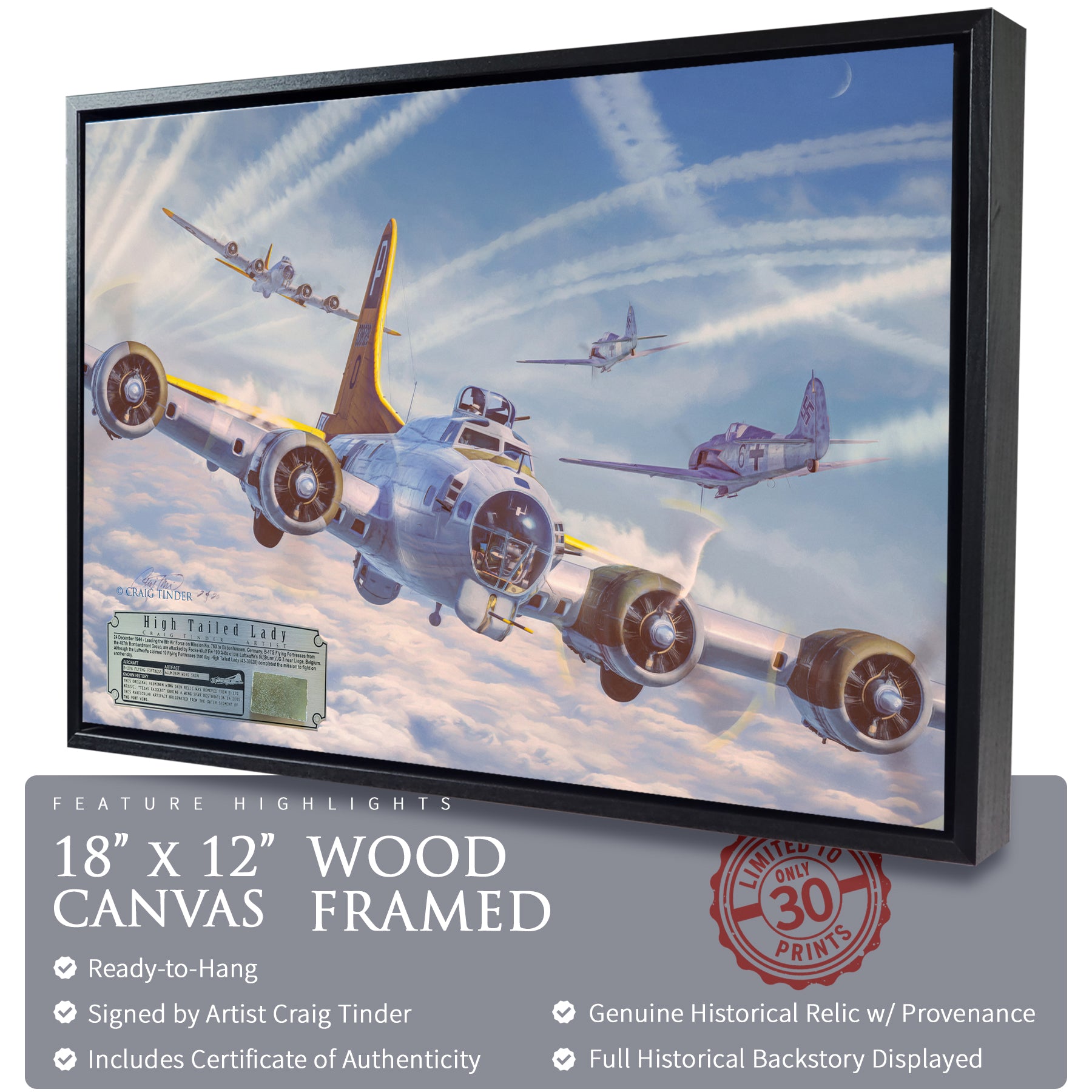 B-17 Flying Fortress - High Tailed Lady Canvas | INCLUDES: Wing Skin Fragment