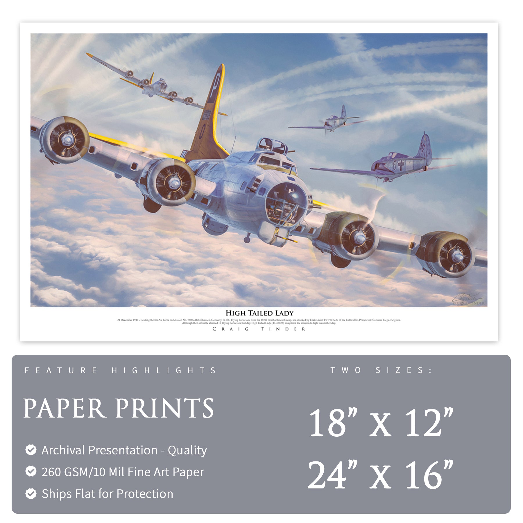 B-17 Flying Fortress - High Tailed Lady Canvas | INCLUDES: Wing Skin Fragment