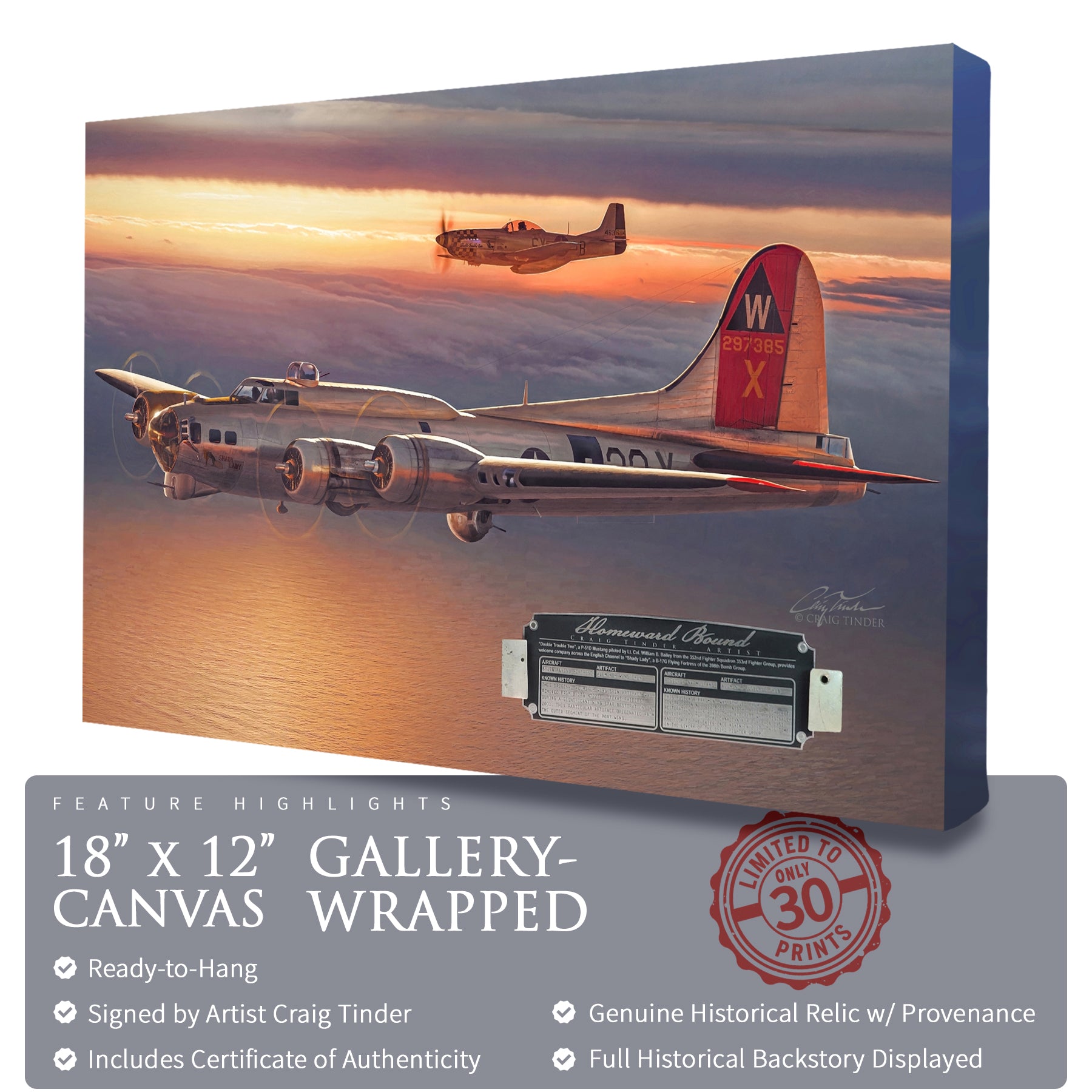 B-17 & P-51 - Homeward Bound Canvas | INCLUDES: Wing Skin & Fuselage Panel Relics