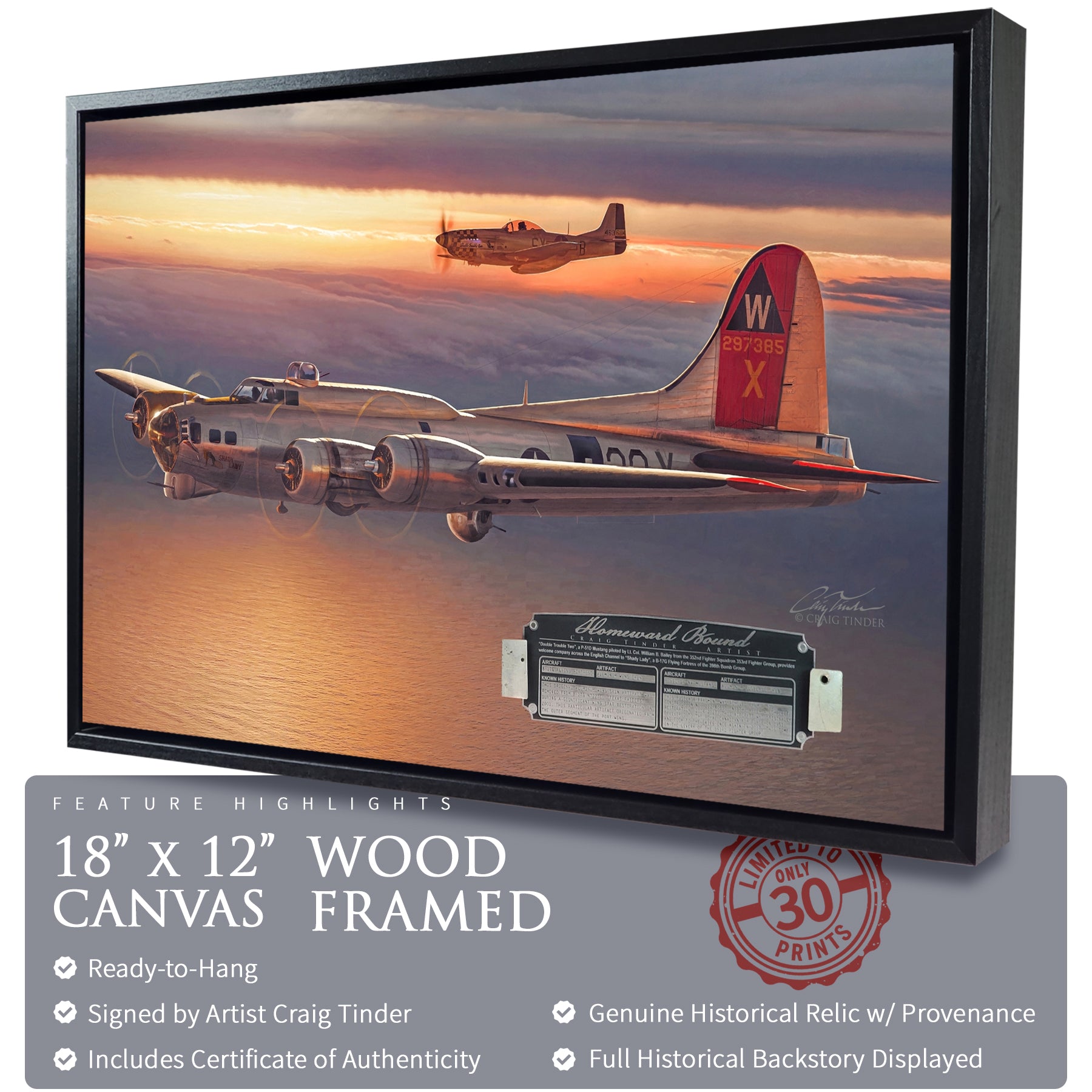 B-17 & P-51 - Homeward Bound Canvas | INCLUDES: Wing Skin & Fuselage Panel Relics
