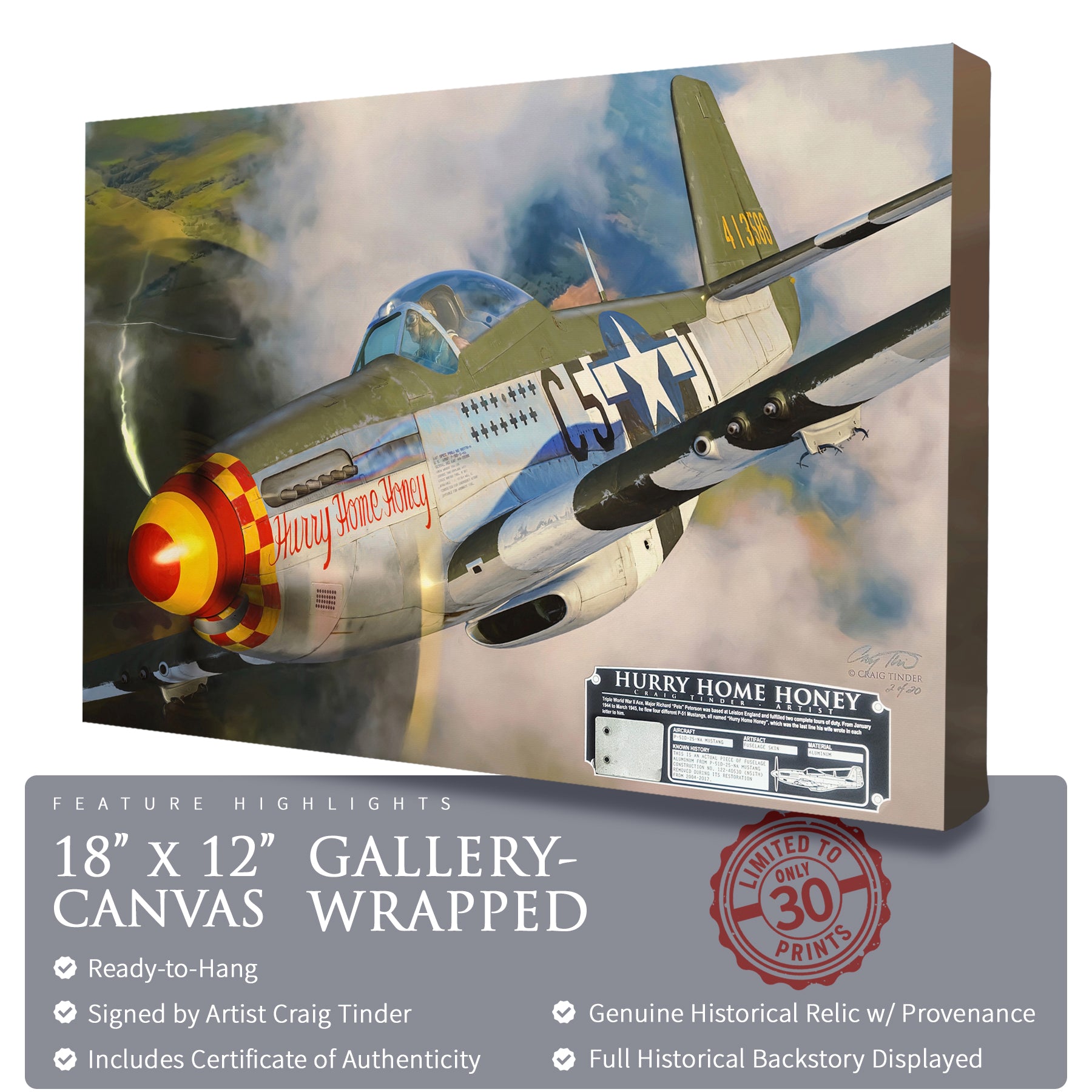 P-51 Mustang - Hurry Home Honey Canvas | INCLUDES: Fuselage Panel Fragment