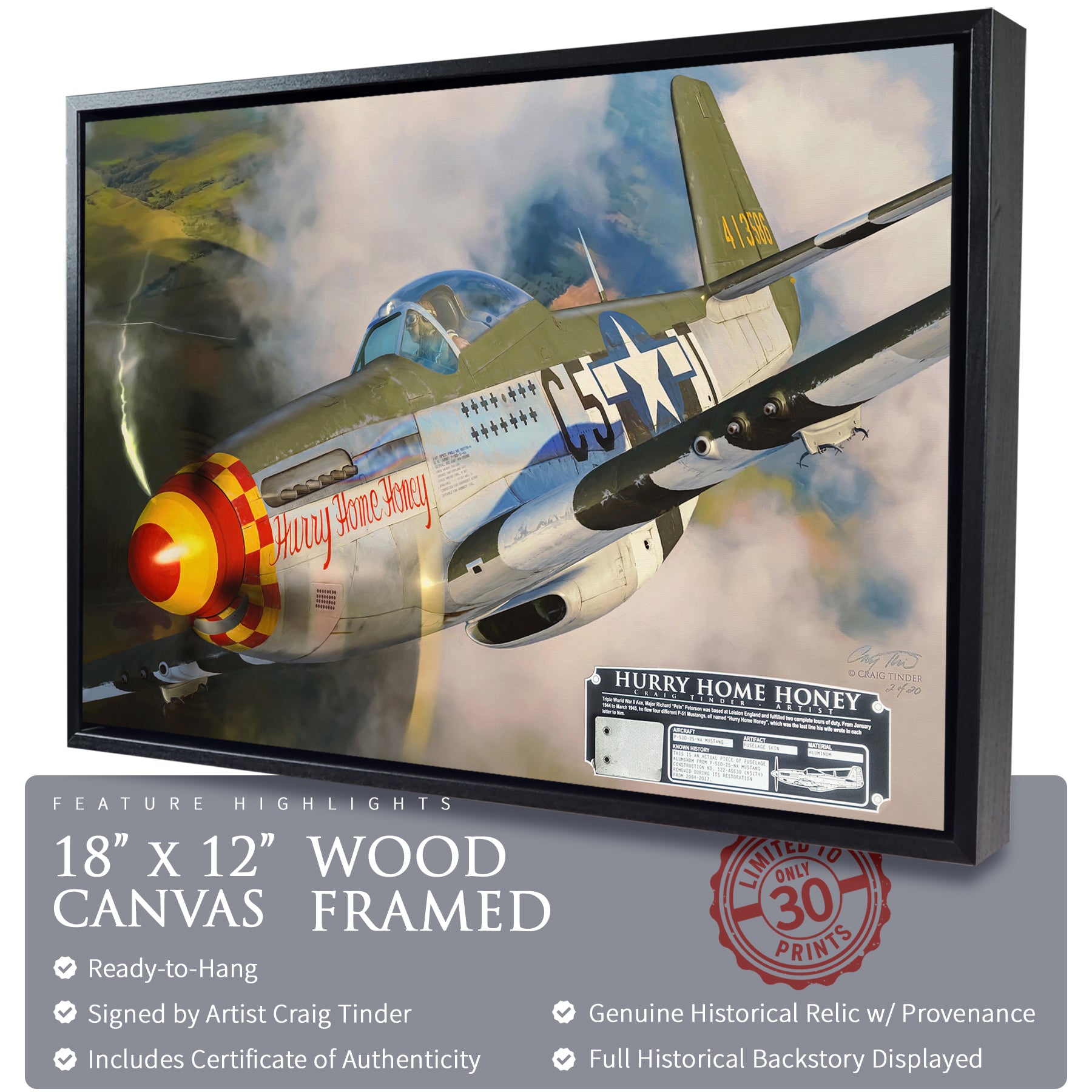 P-51 Mustang - Hurry Home Honey Canvas | INCLUDES: Fuselage Panel Fragment